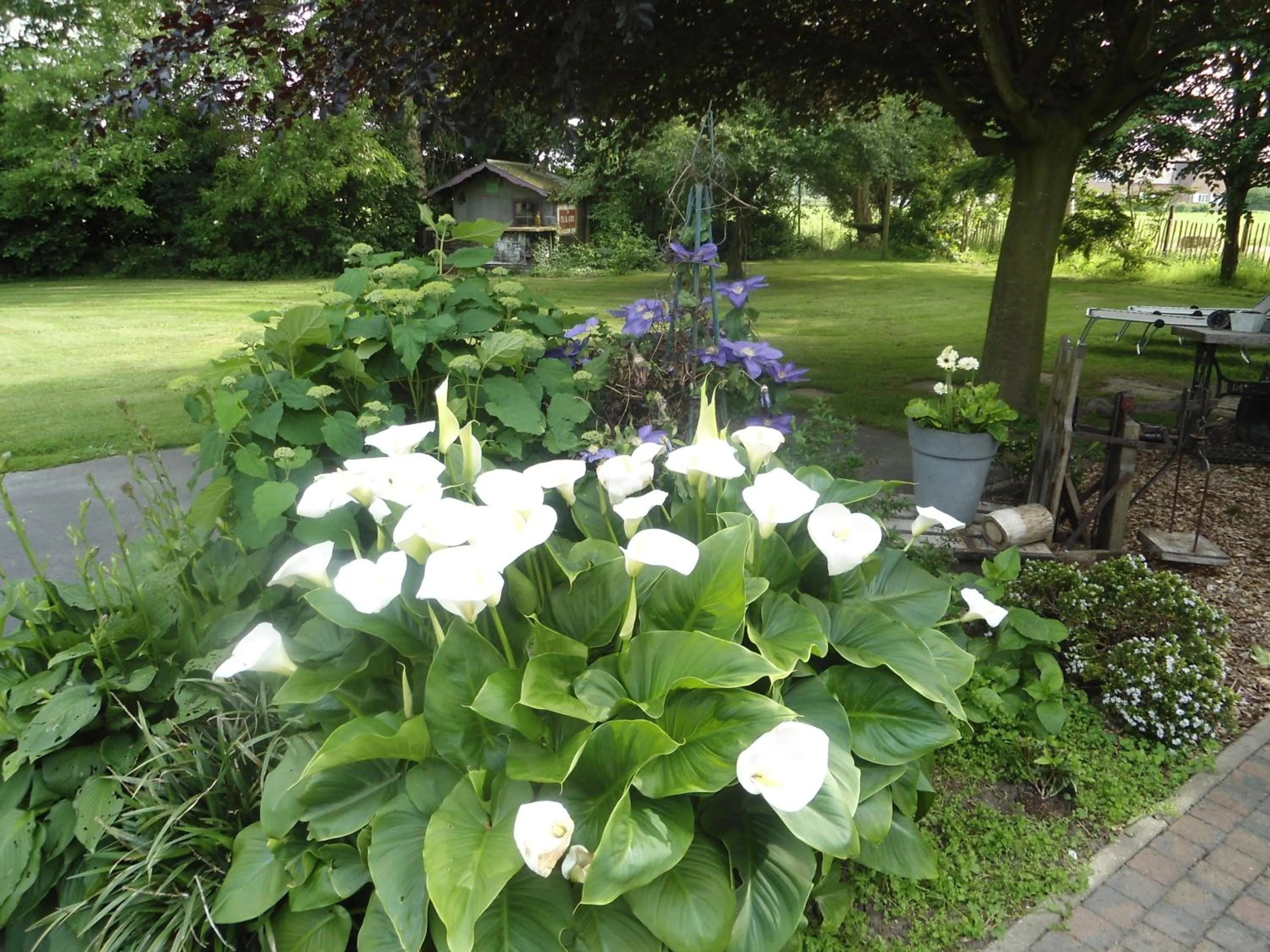 Garden in Passe-Partout