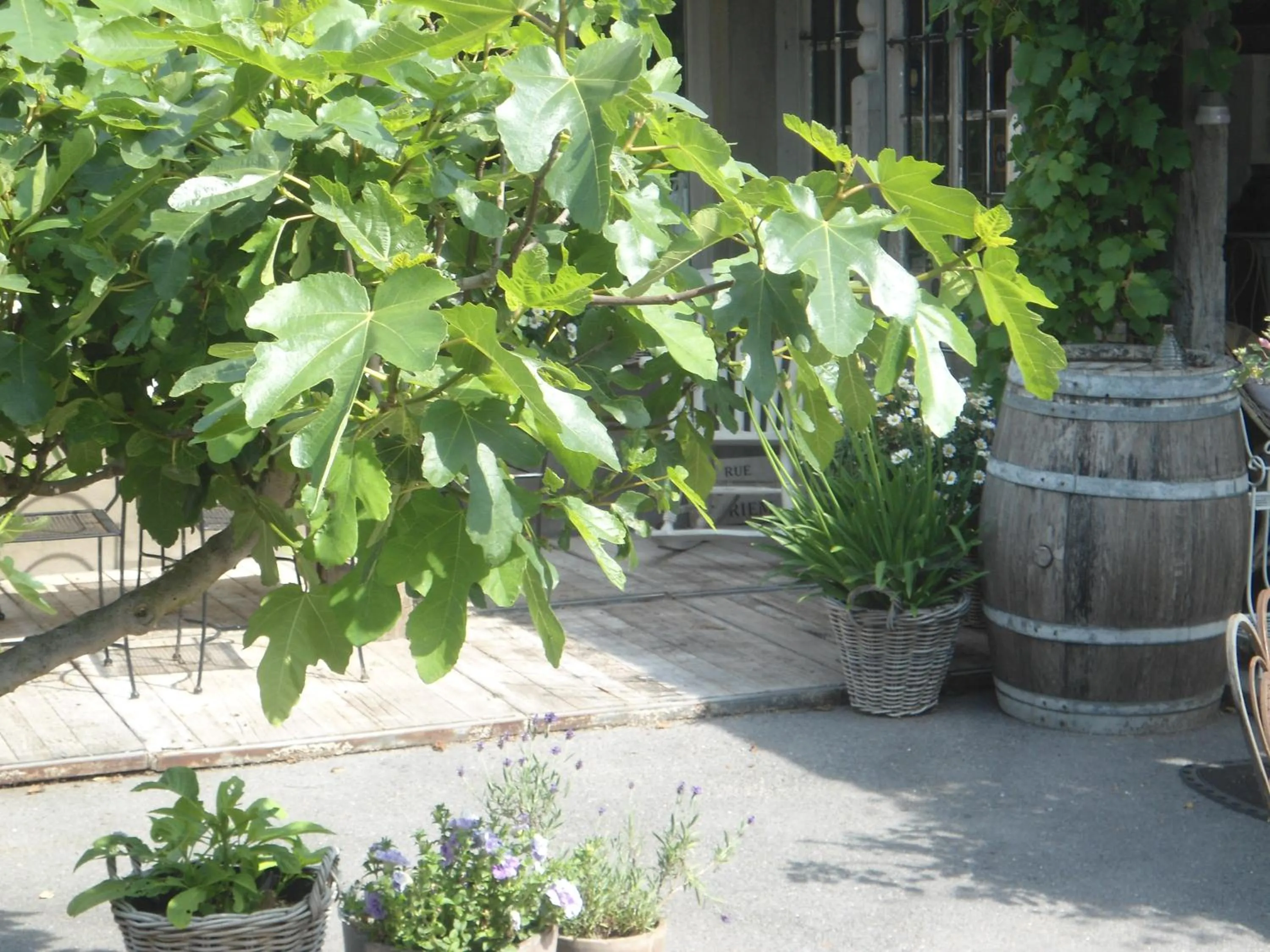 On site in Passe-Partout