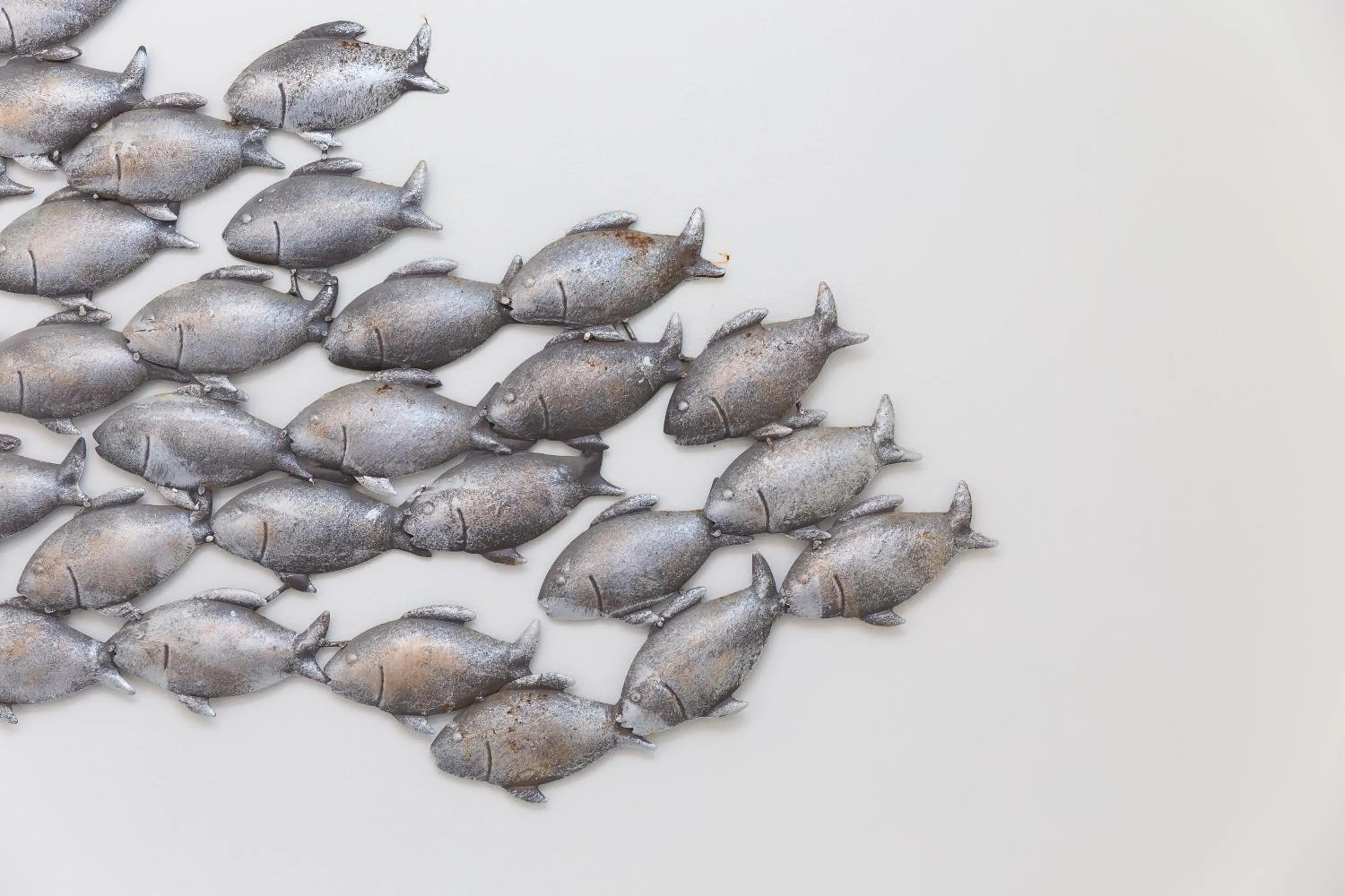 Decorative detail in Oystercatcher