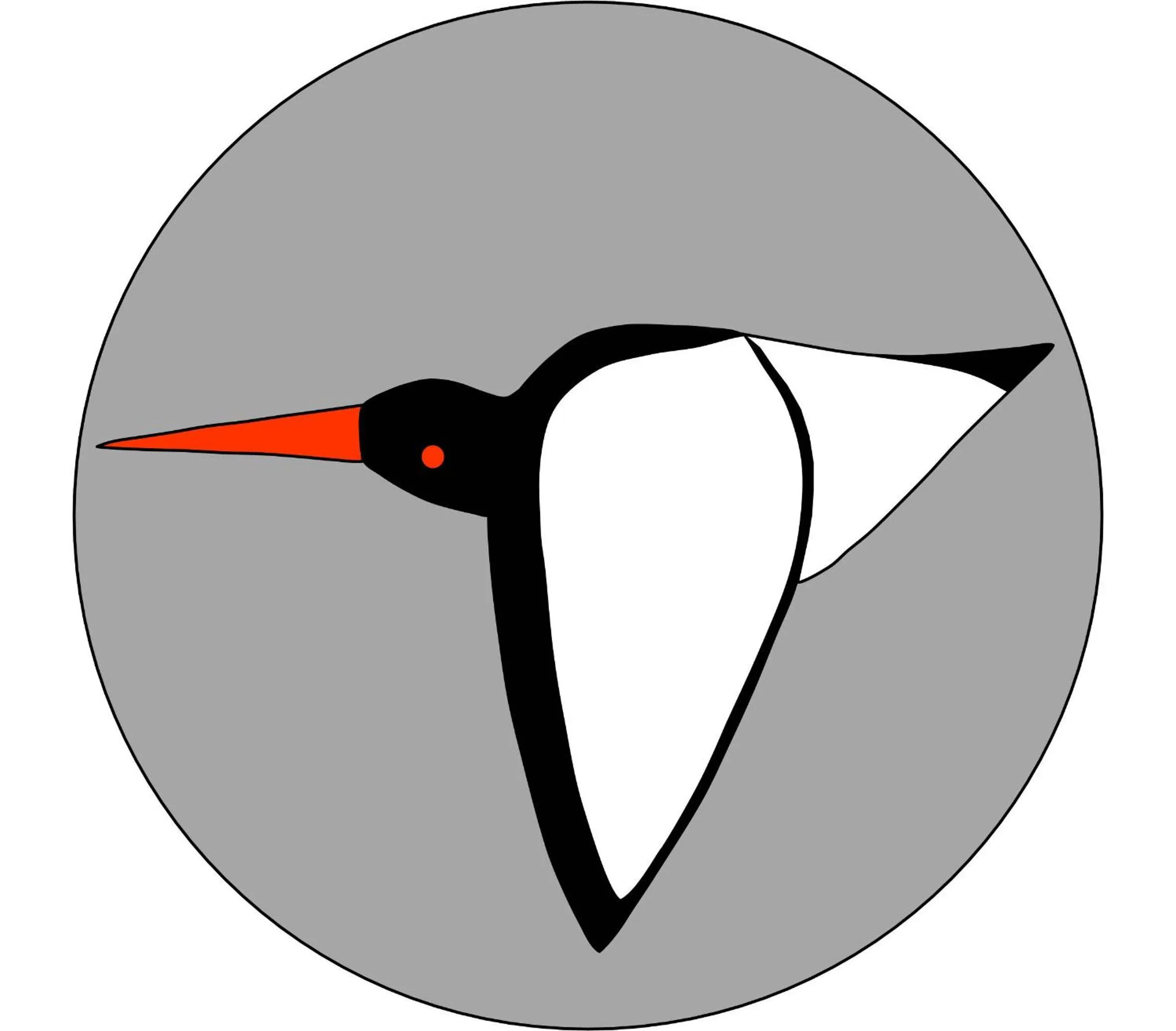 Other in Oystercatcher