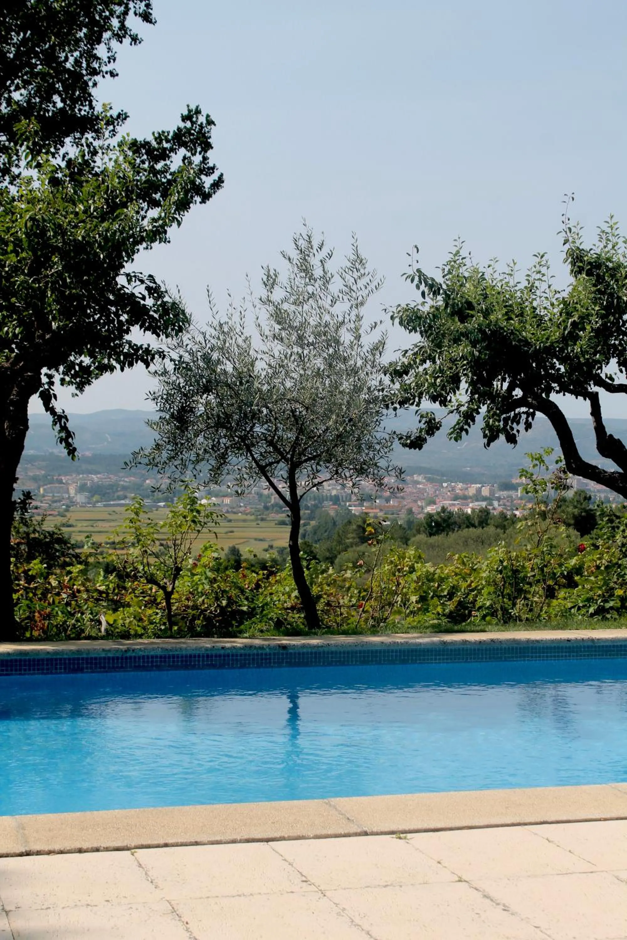 Garden in Quinta da Mata - Turismo de Habitação