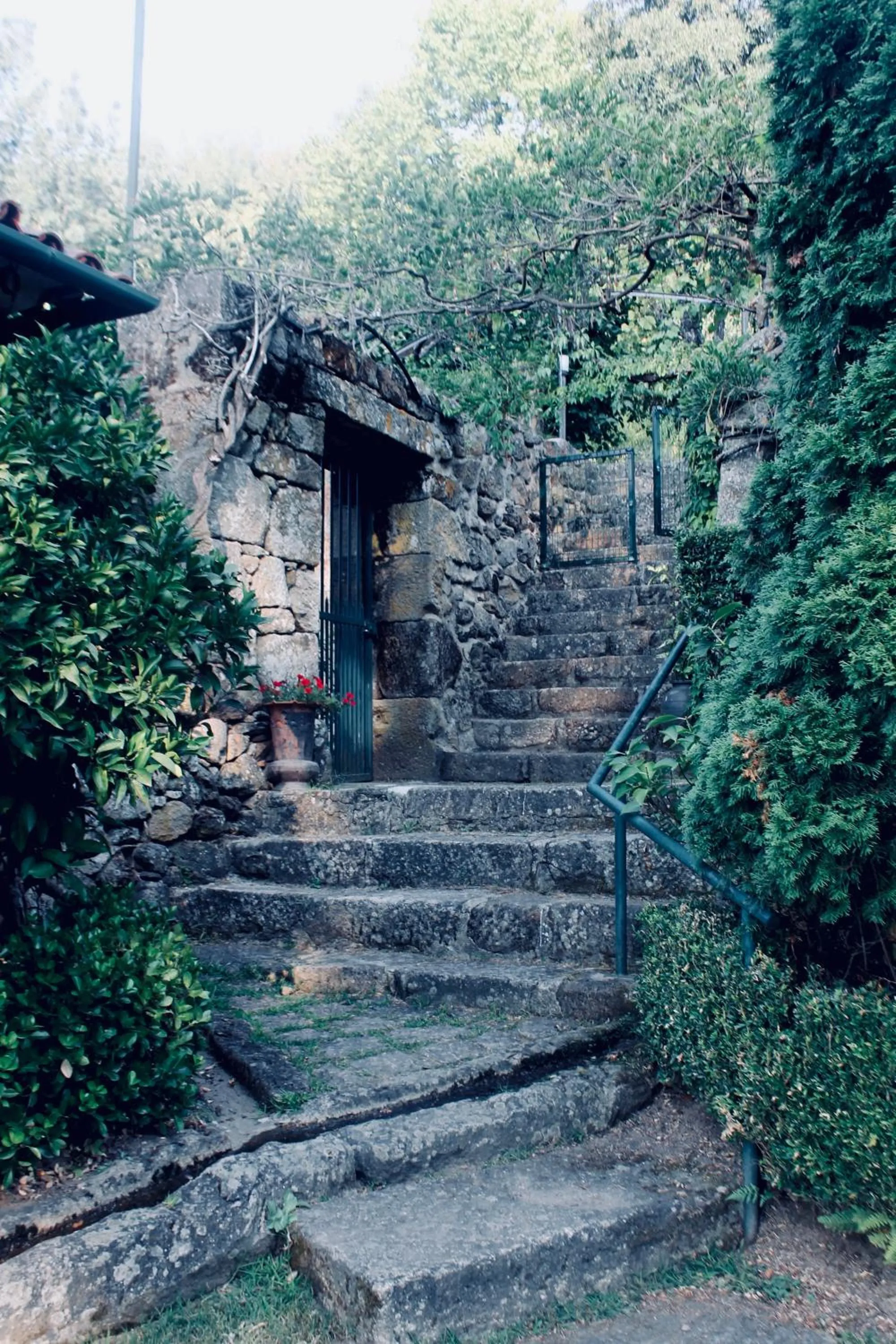 Garden in Quinta da Mata - Turismo de Habitação