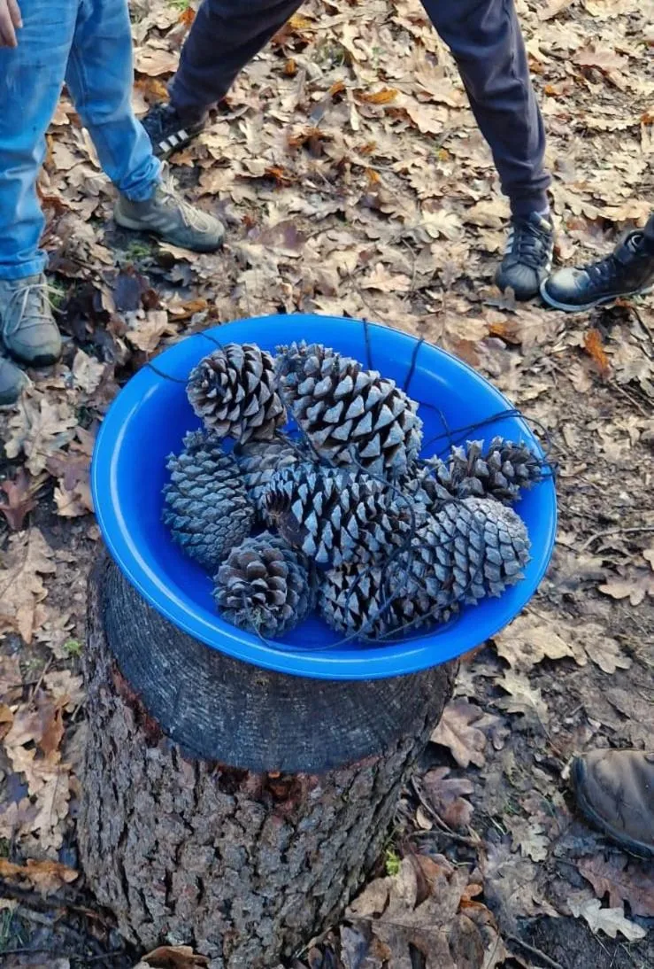 Day in Quinta da Mata - Turismo de Habitação