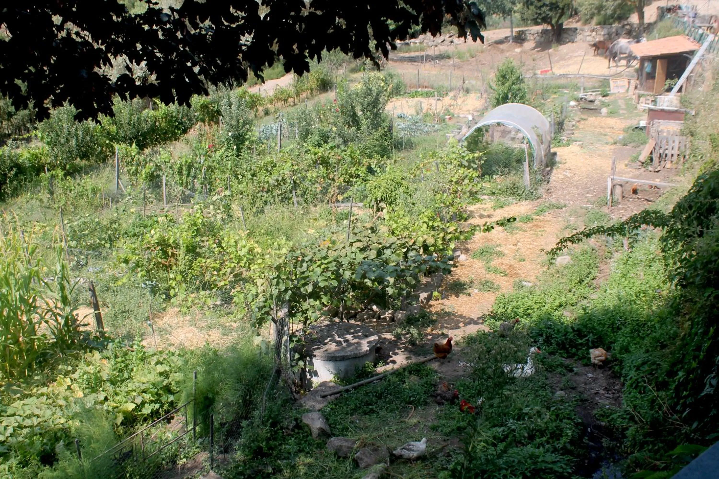 Activities in Quinta da Mata - Turismo de Habitação