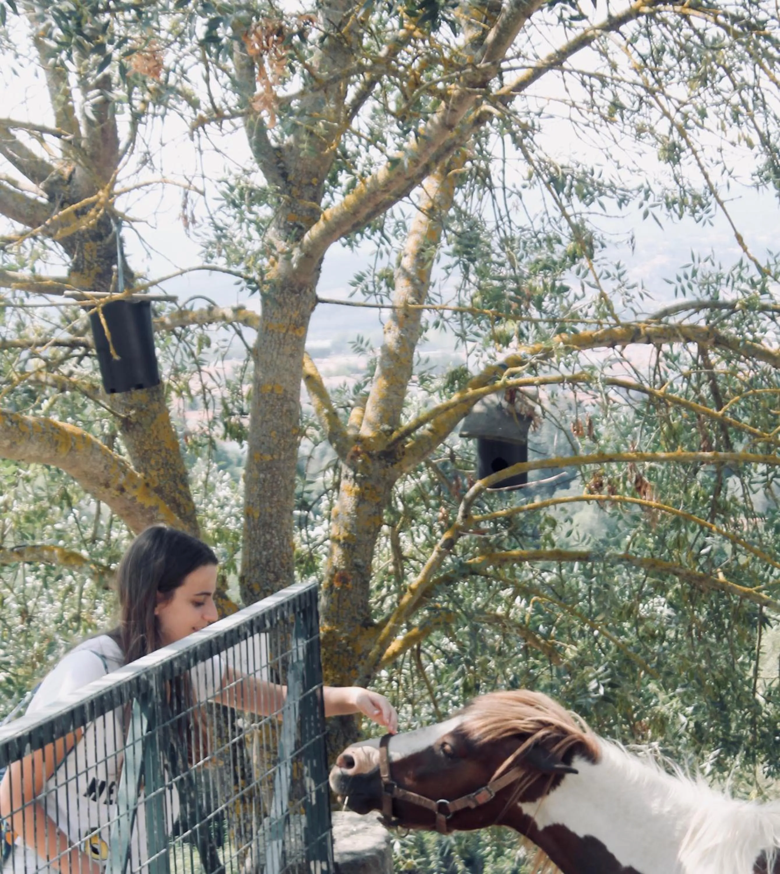 Activities in Quinta da Mata - Turismo de Habitação