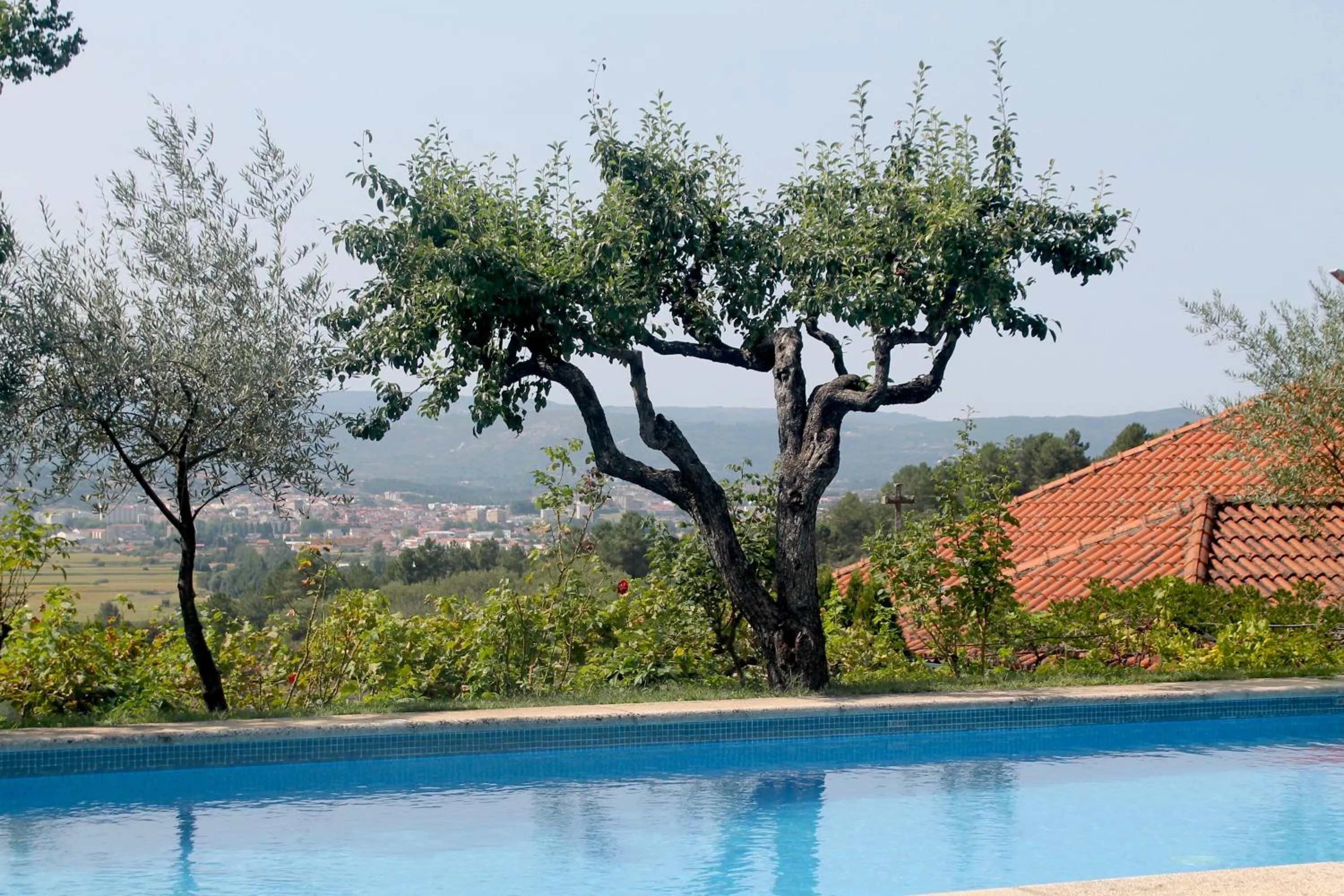Facade/entrance in Quinta da Mata - Turismo de Habitação