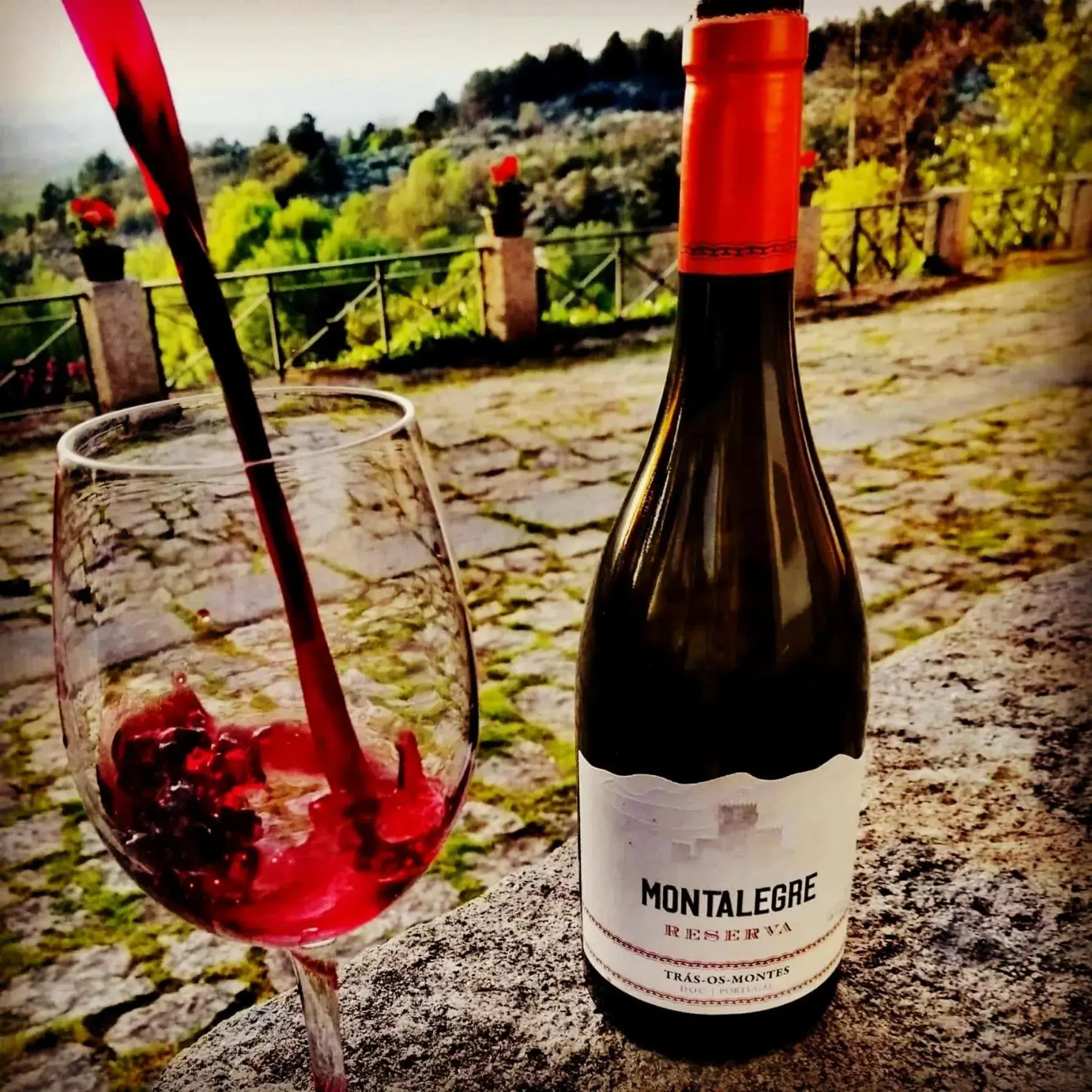 Food and drinks in Quinta da Mata - Turismo de Habitação Food and drinks in Quinta da Mata - Turismo de Habitação