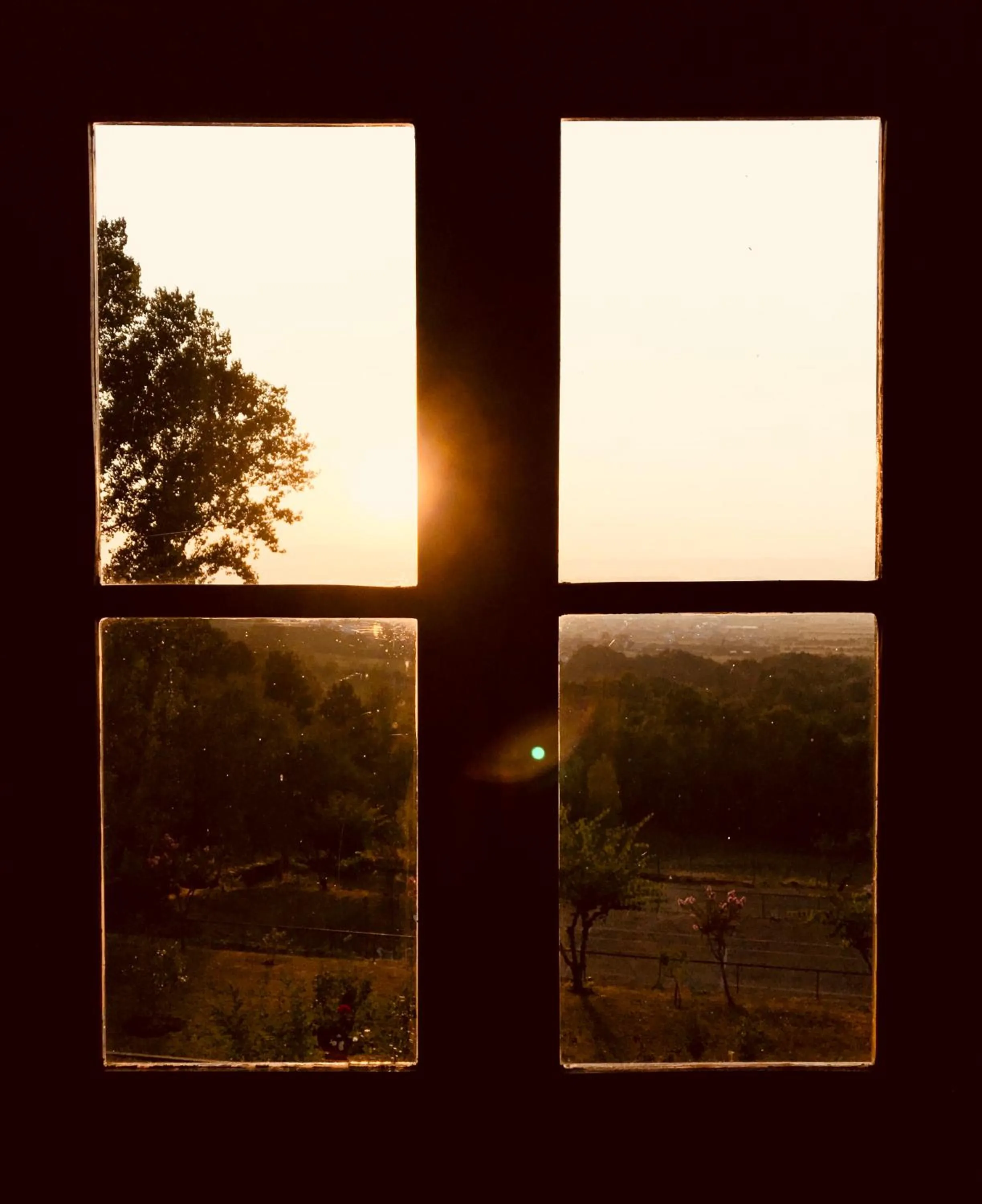 Summer in Quinta da Mata - Turismo de Habitação