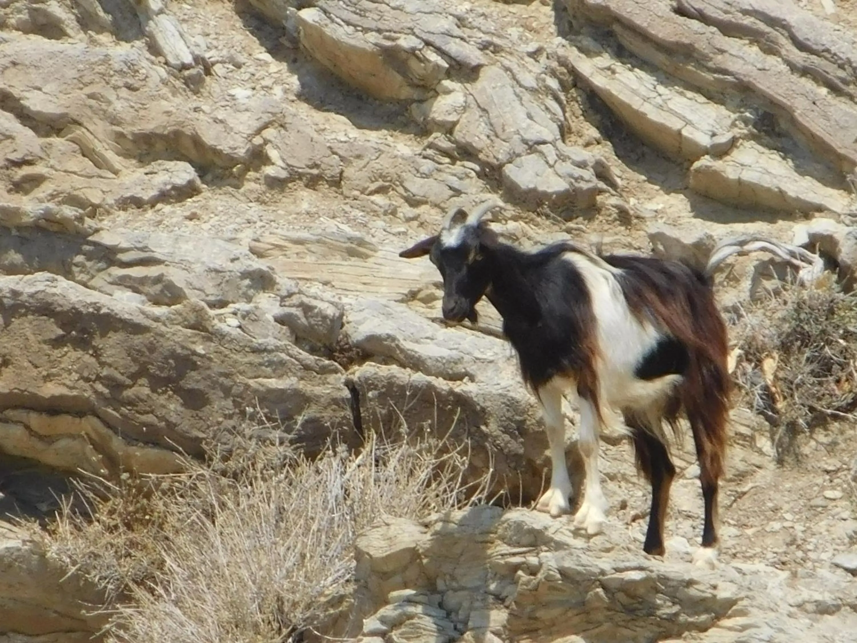 Natural landscape in Apollon