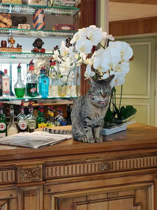 Lobby or reception in Le Relais Médicis