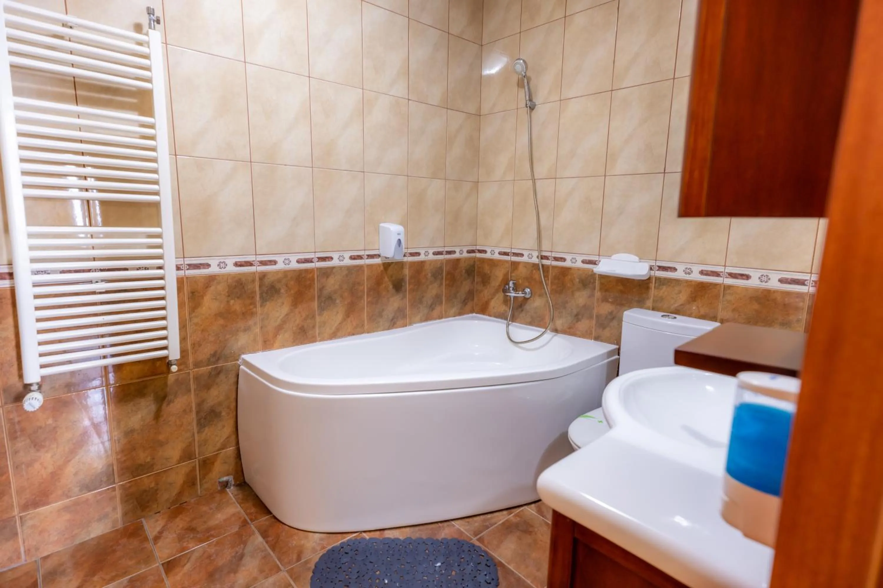 Bathroom in Hotel Sir Lujerului