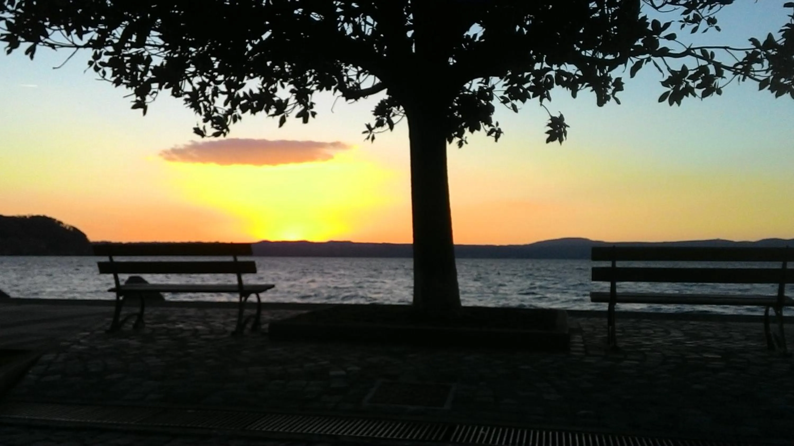 View (from property/room) in Al Vicolo dei Pescatori