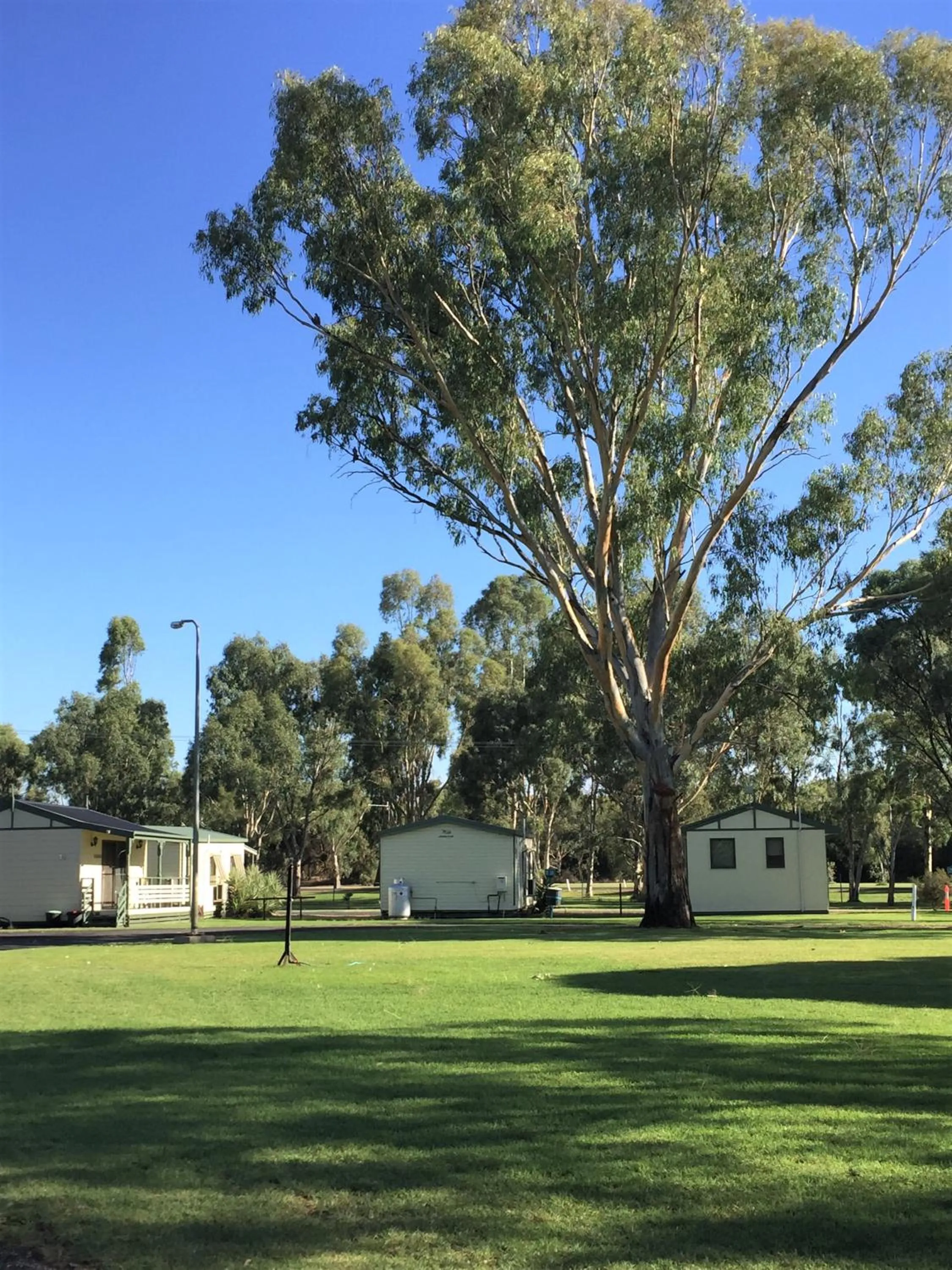 Garden view in Junee Tourist Park