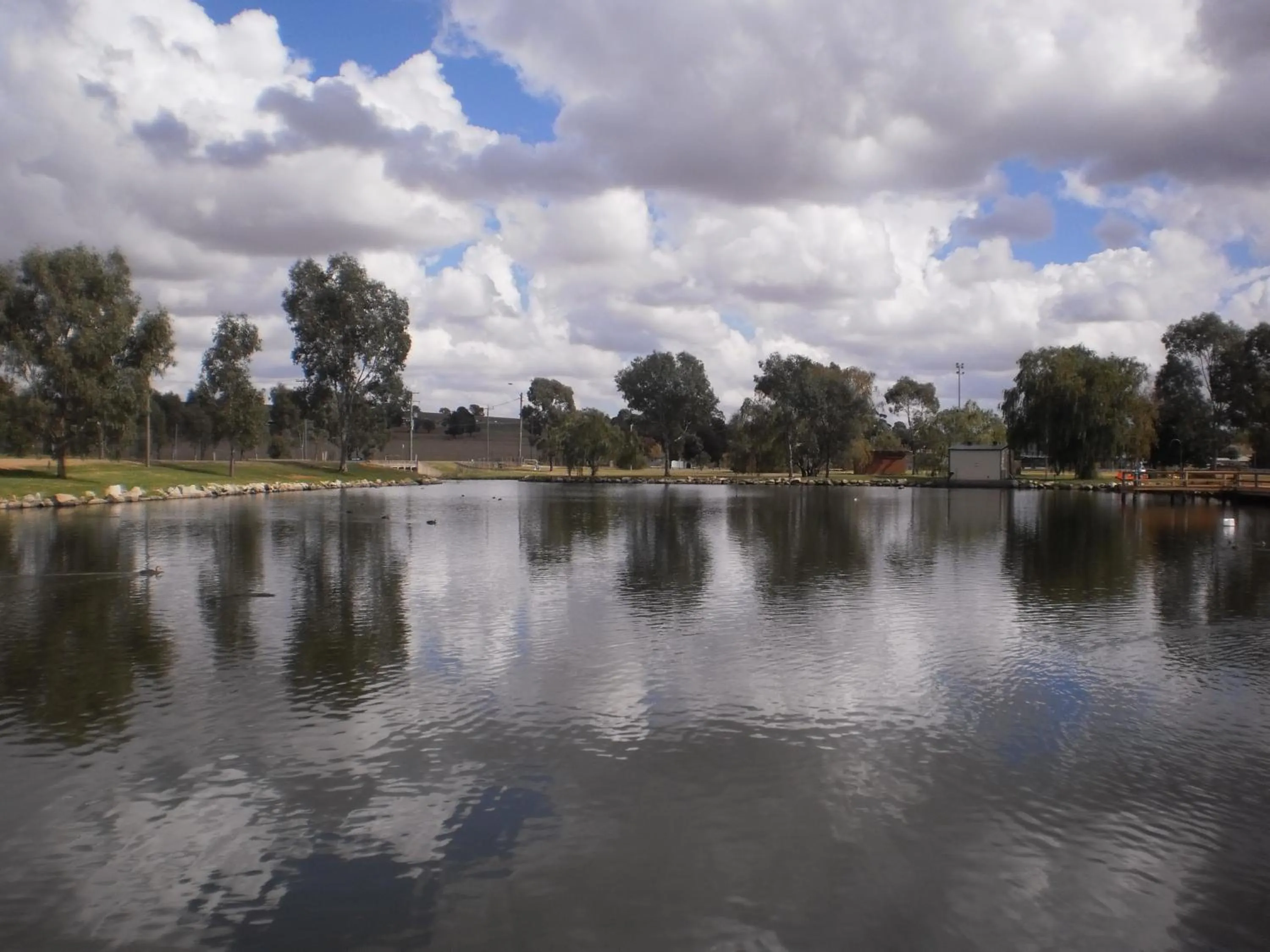 Lake view in Junee Tourist Park