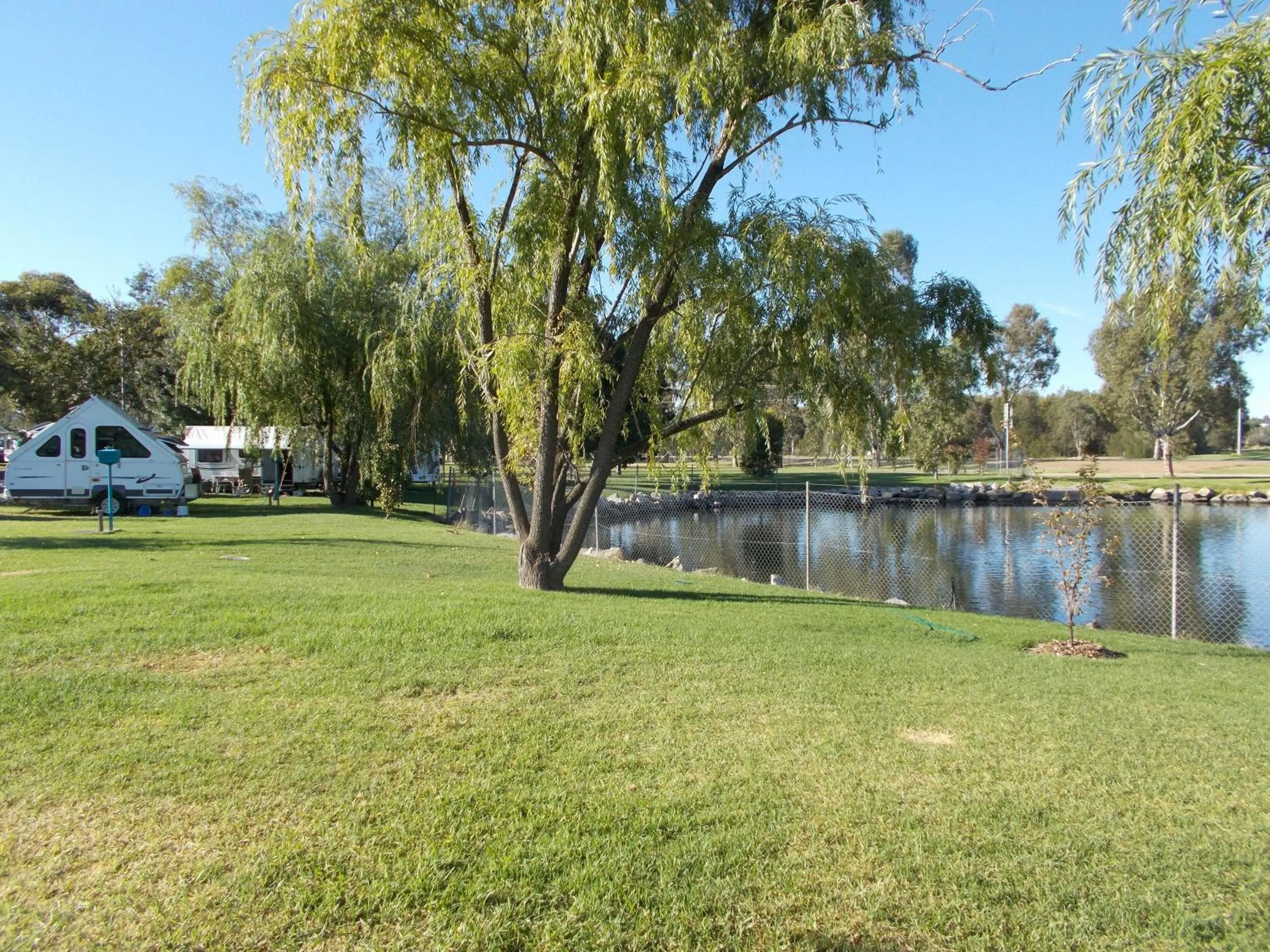Lake view in Junee Tourist Park