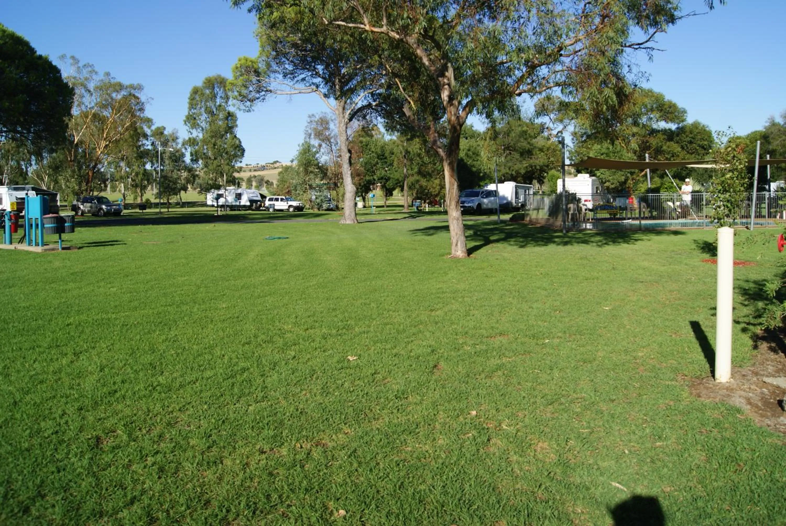 Natural landscape in Junee Tourist Park