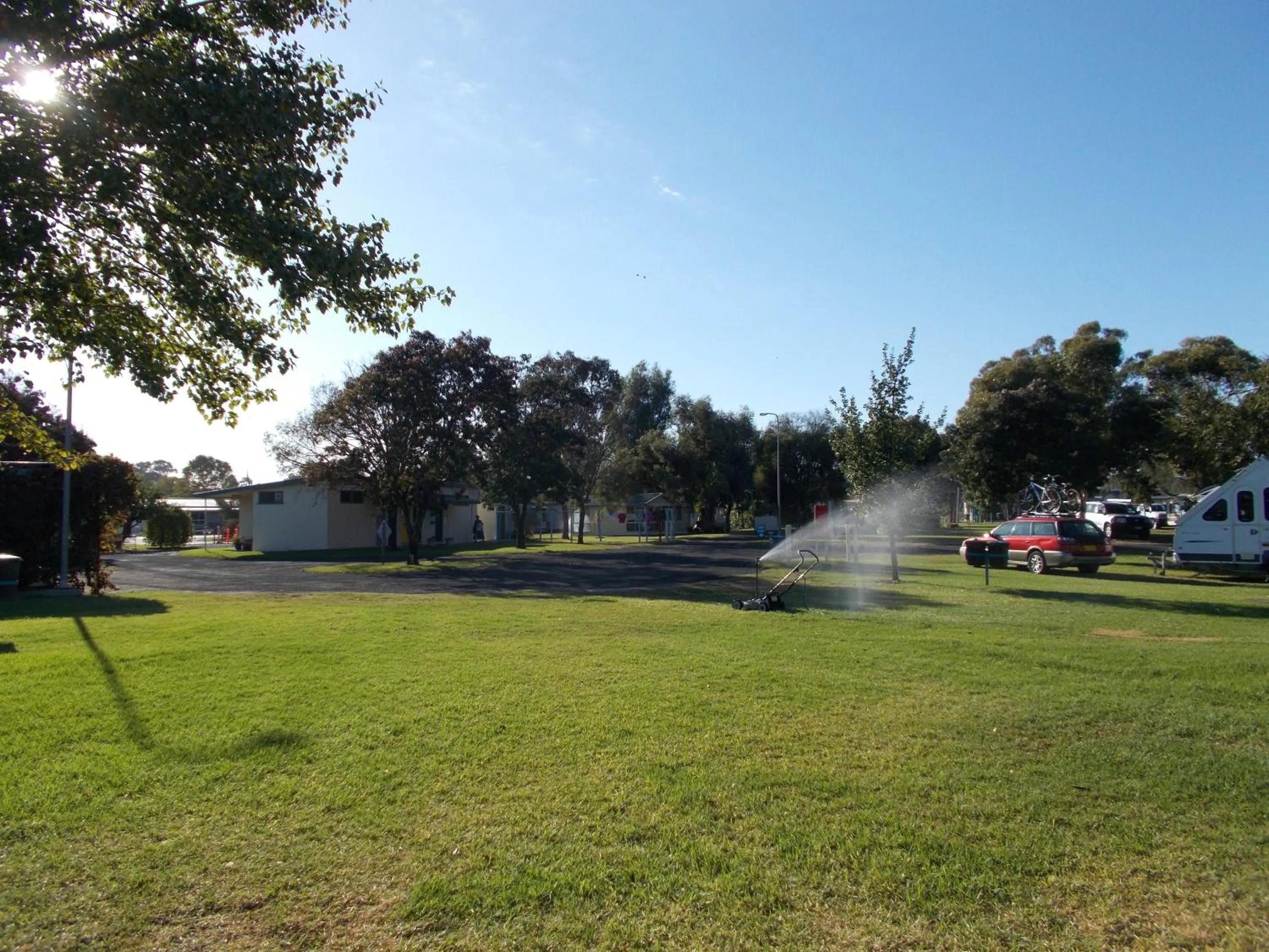 Natural landscape in Junee Tourist Park
