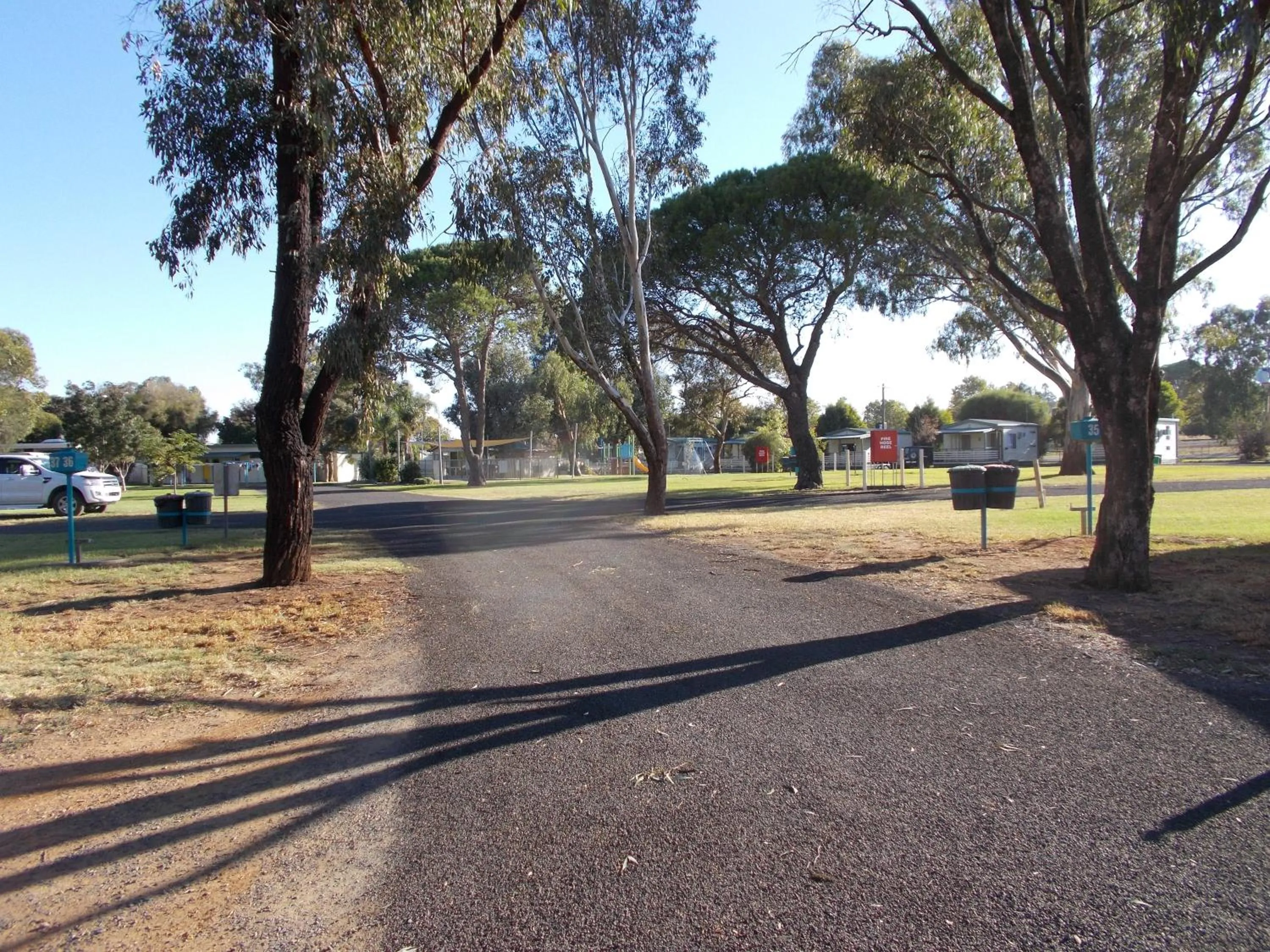 Natural landscape in Junee Tourist Park