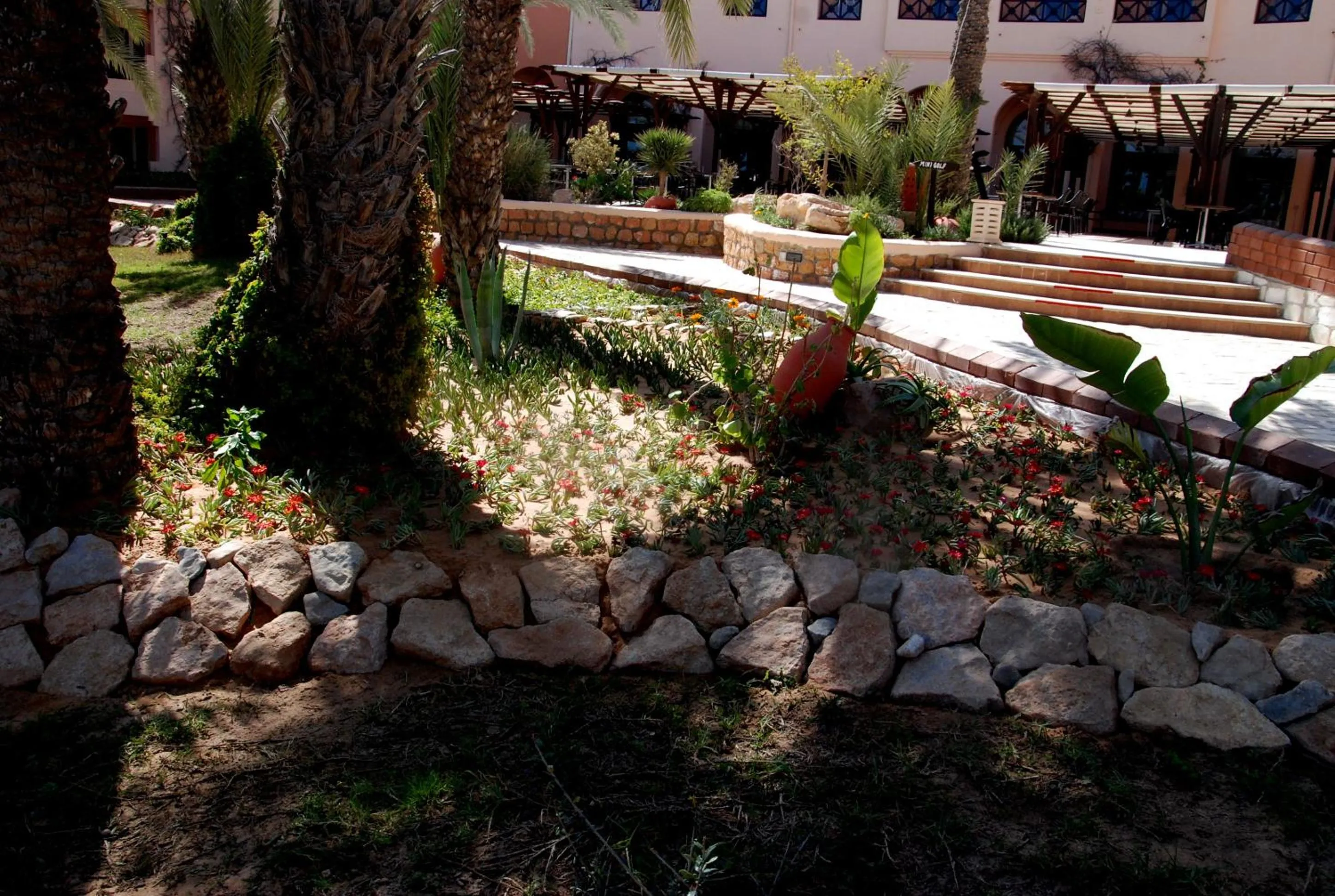 Garden in Vincci Safira Palms