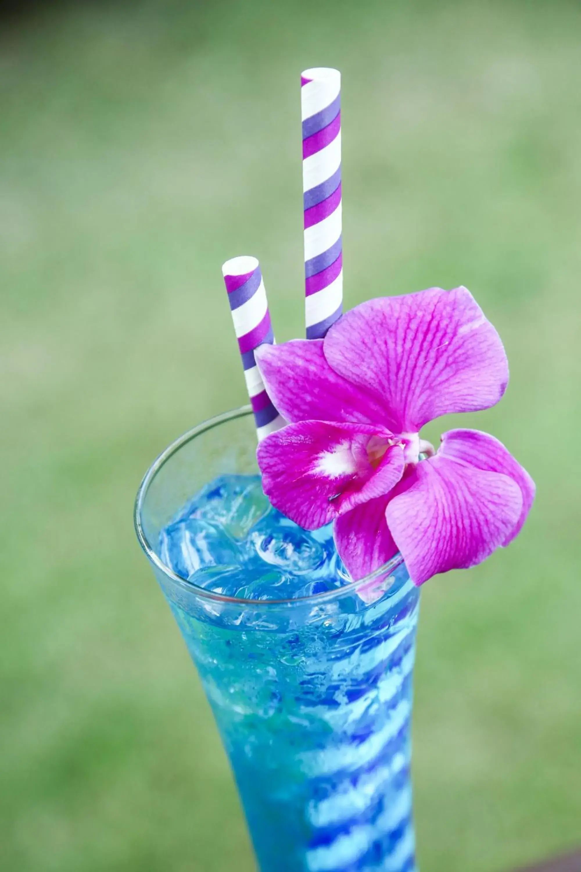 Food in Naiharn Beach Resort - SHA Plus Extra Food in Naiharn Beach Resort - SHA Plus Extra