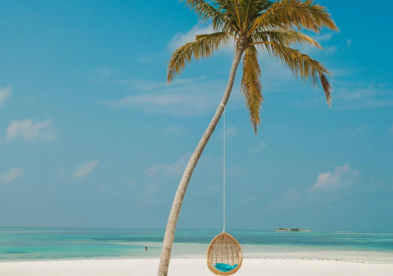 View (from property/room) in Cocoon Maldives - All Inclusive