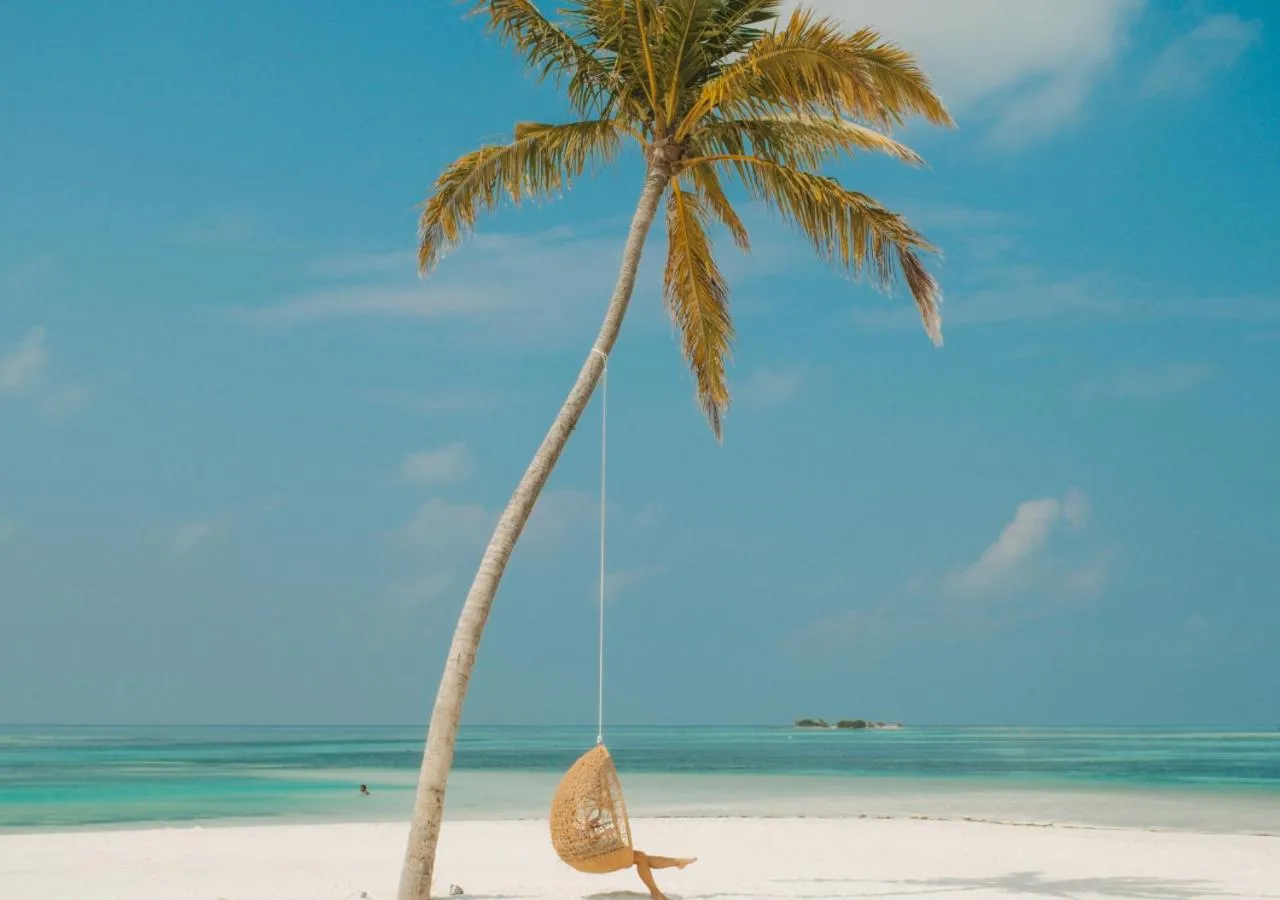 View (from property/room) in Cocoon Maldives - All Inclusive