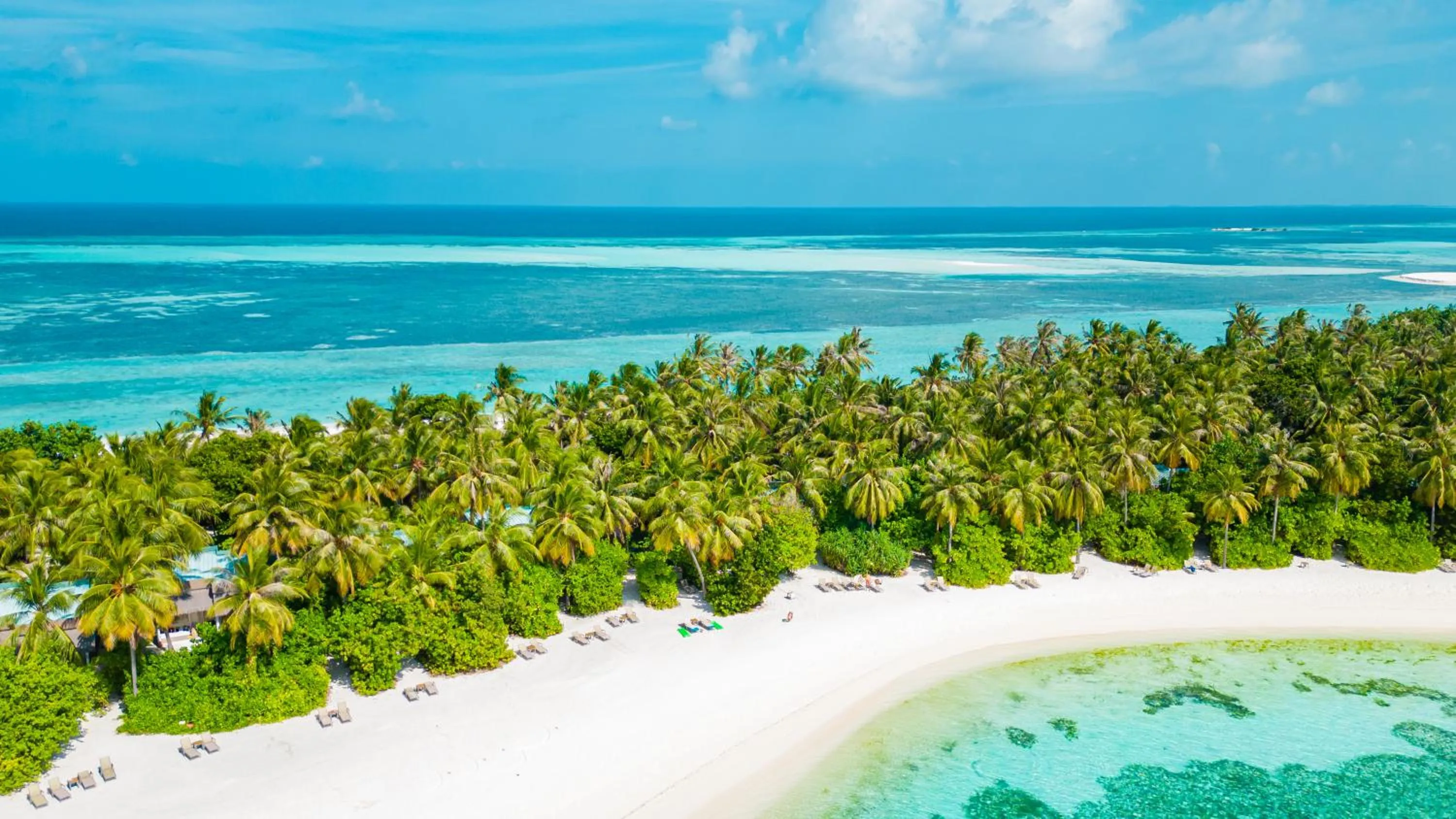 Garden in Cocoon Maldives - All Inclusive