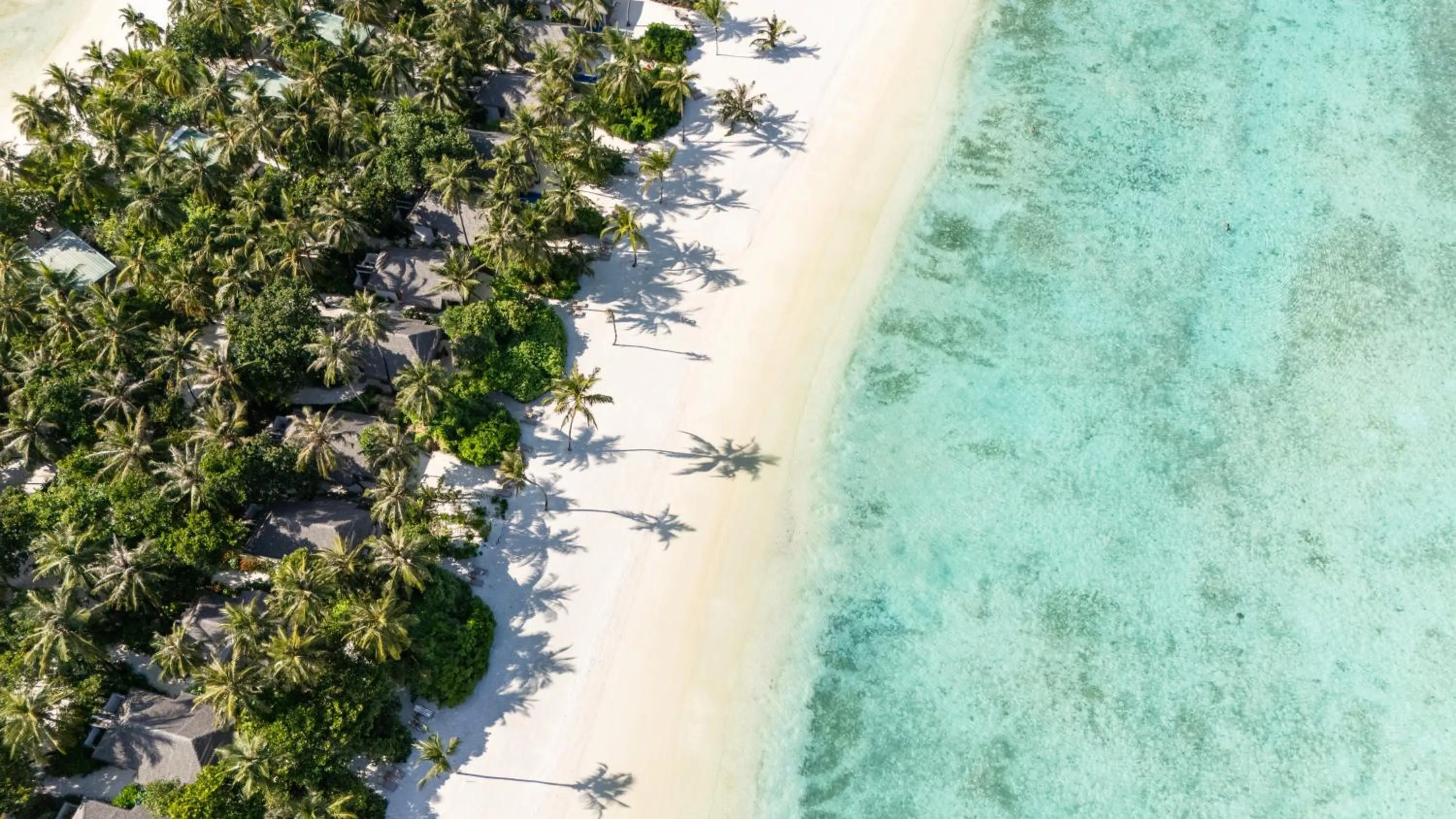 Natural landscape in Cocoon Maldives - All Inclusive