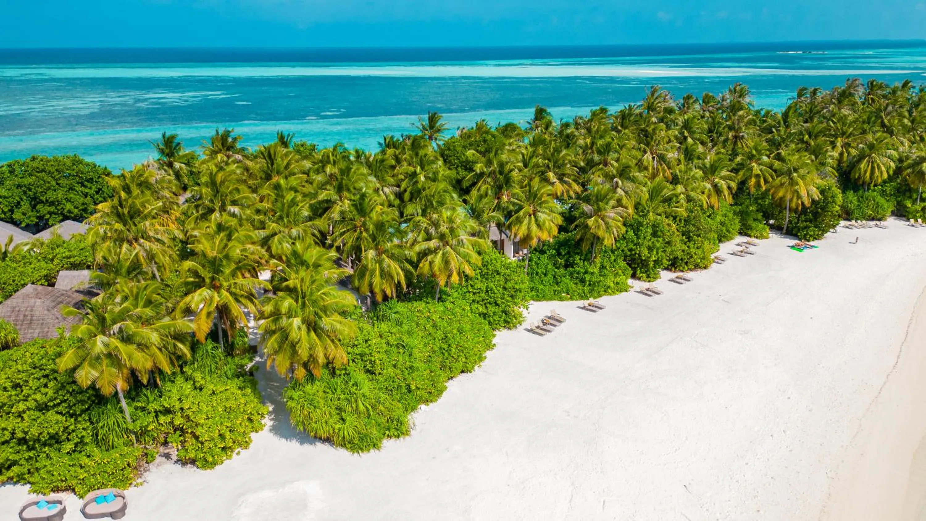 Garden in Cocoon Maldives - All Inclusive