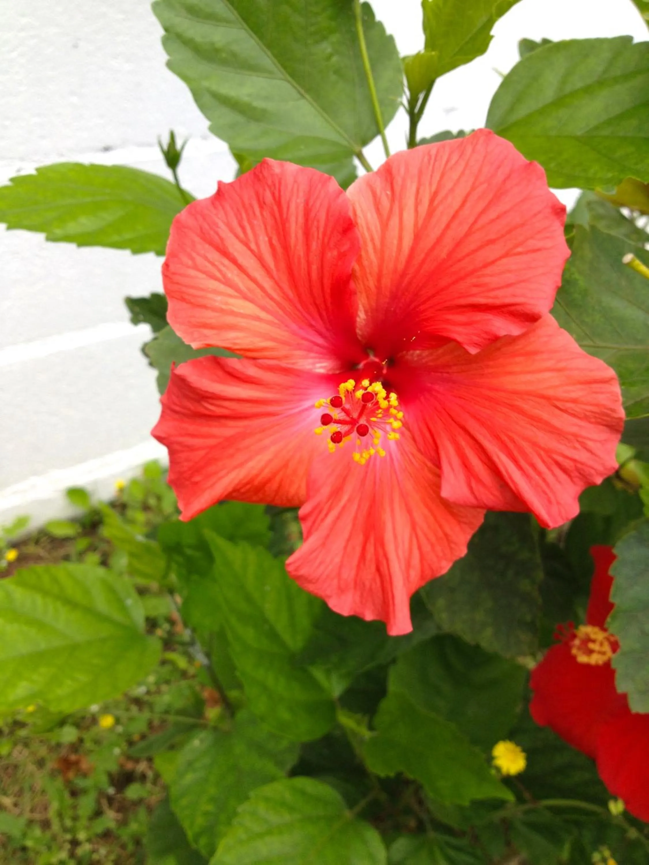 Natural landscape in Nata Beach Villa
