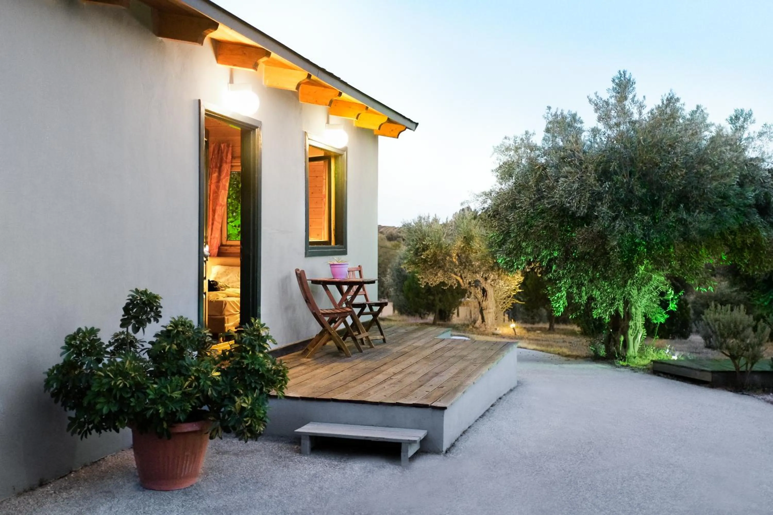 Olive Grove