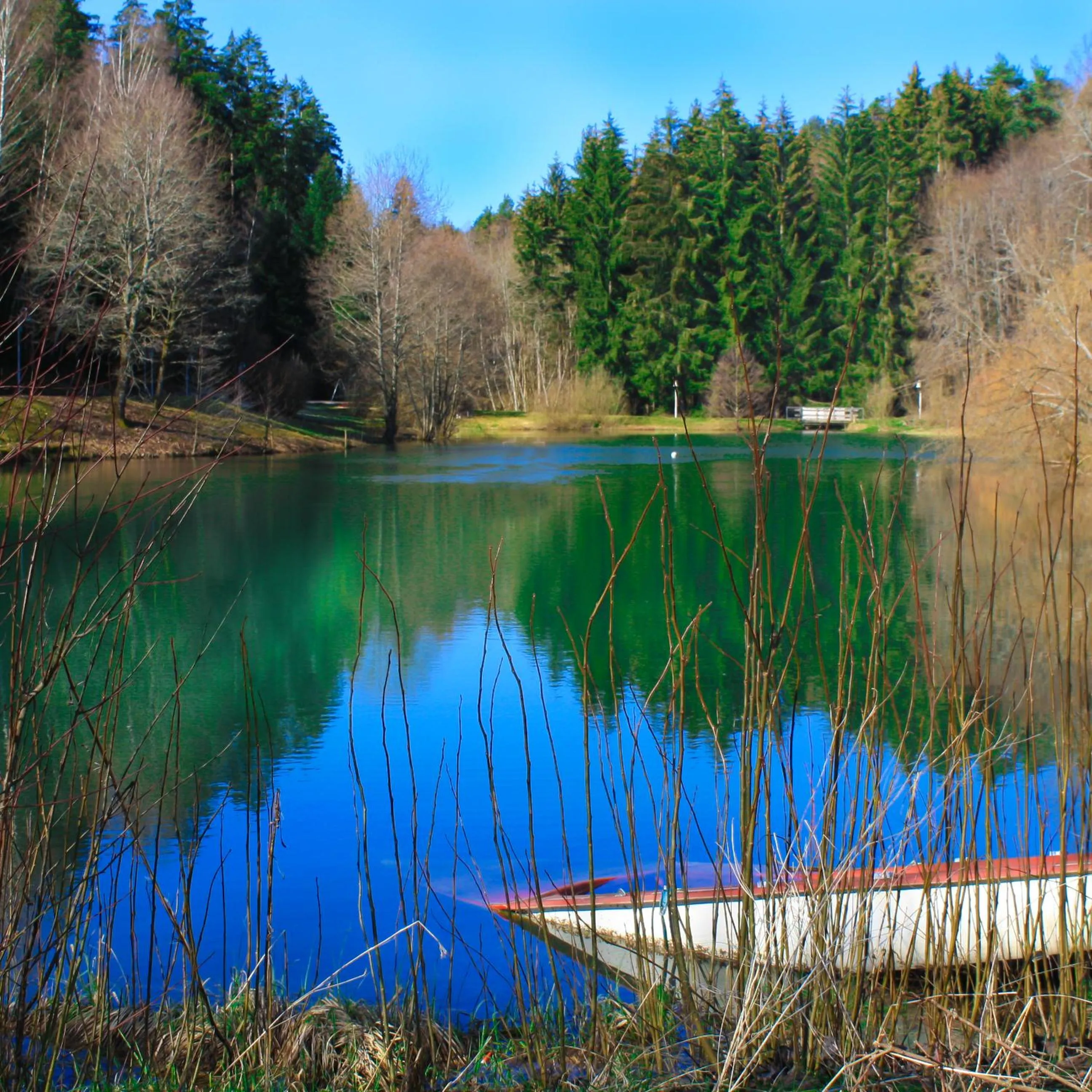 Hiking in Hotel-Resort Waldachtal - Adults only