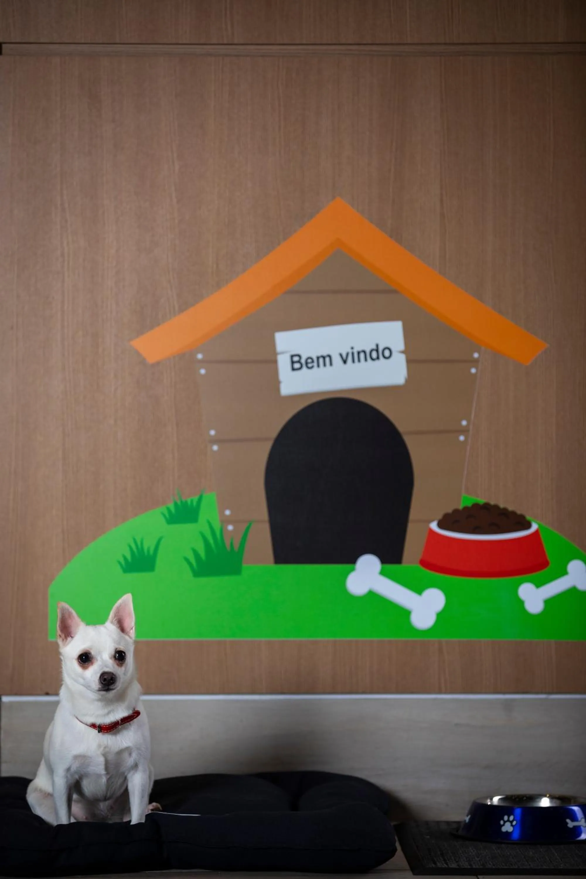 Pets in Novotel RJ Praia de Botafogo