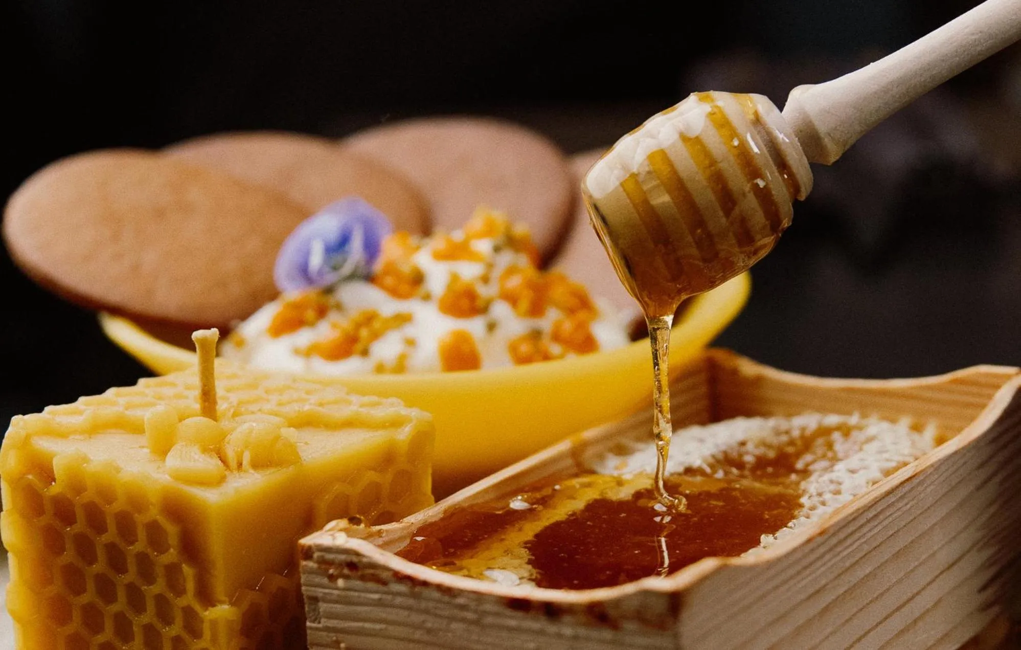 Food and drinks in Pullman Riga Old Town - Renovated 2025