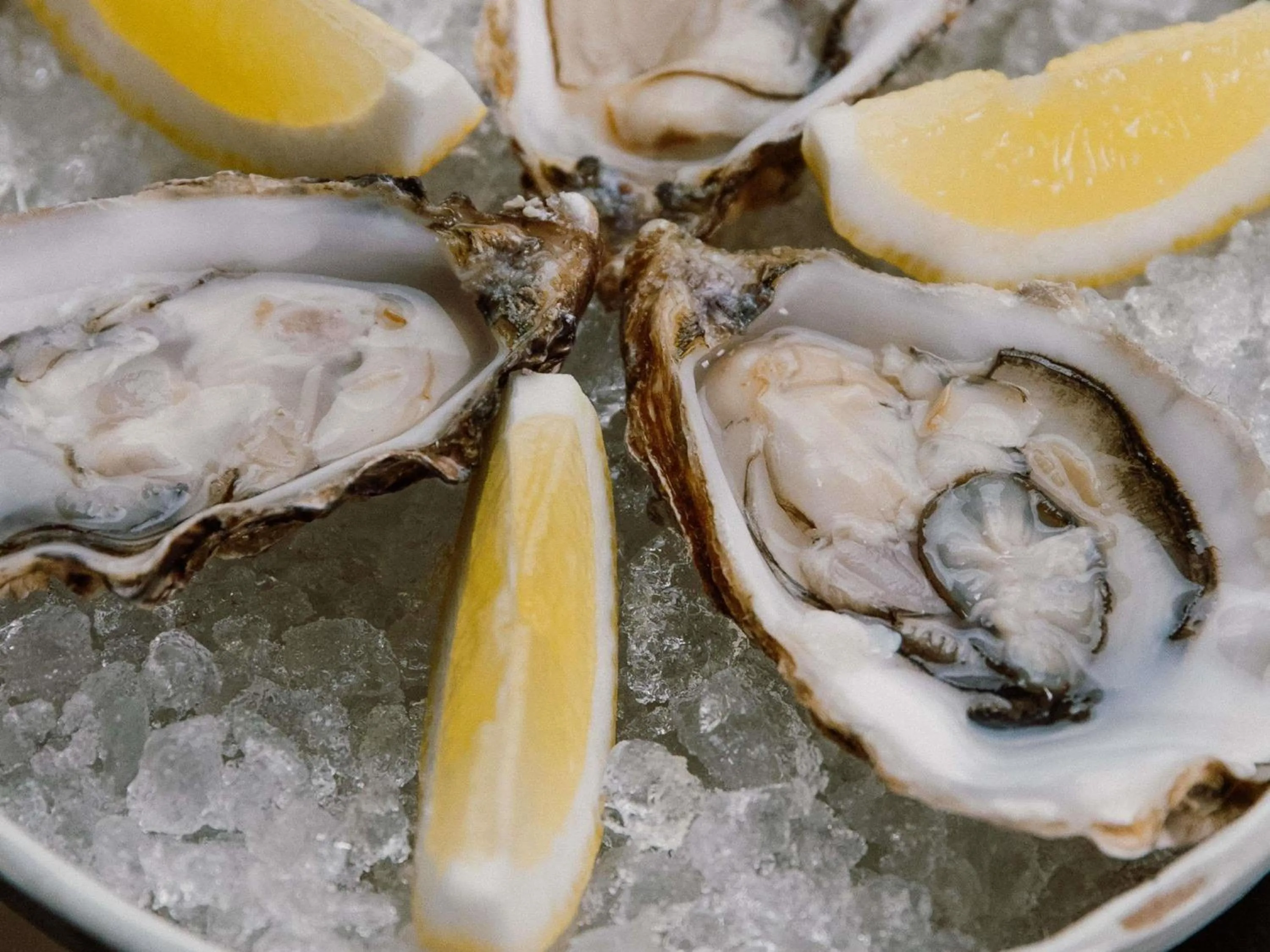 Restaurant/places to eat in Pullman Riga Old Town - Renovated 2025