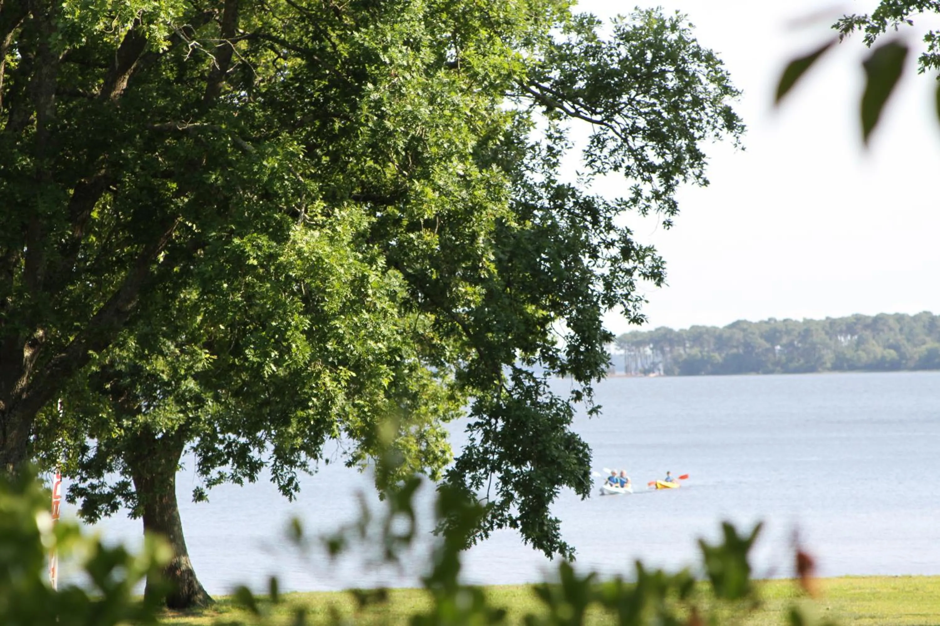 Beach in Lodging Le Lac