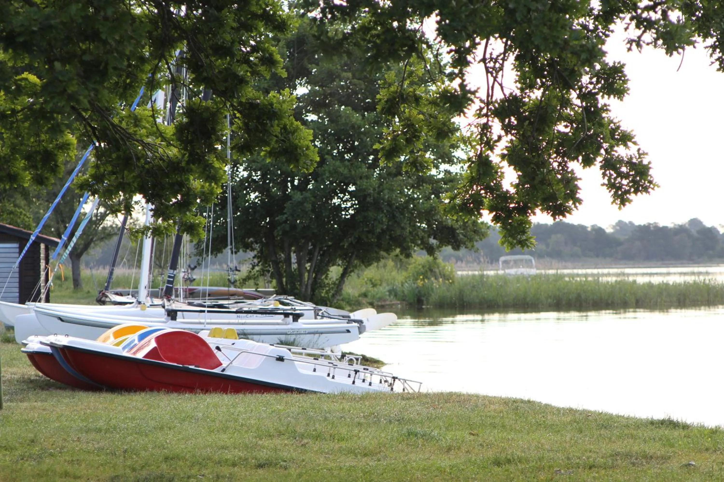 Garden in Lodging Le Lac
