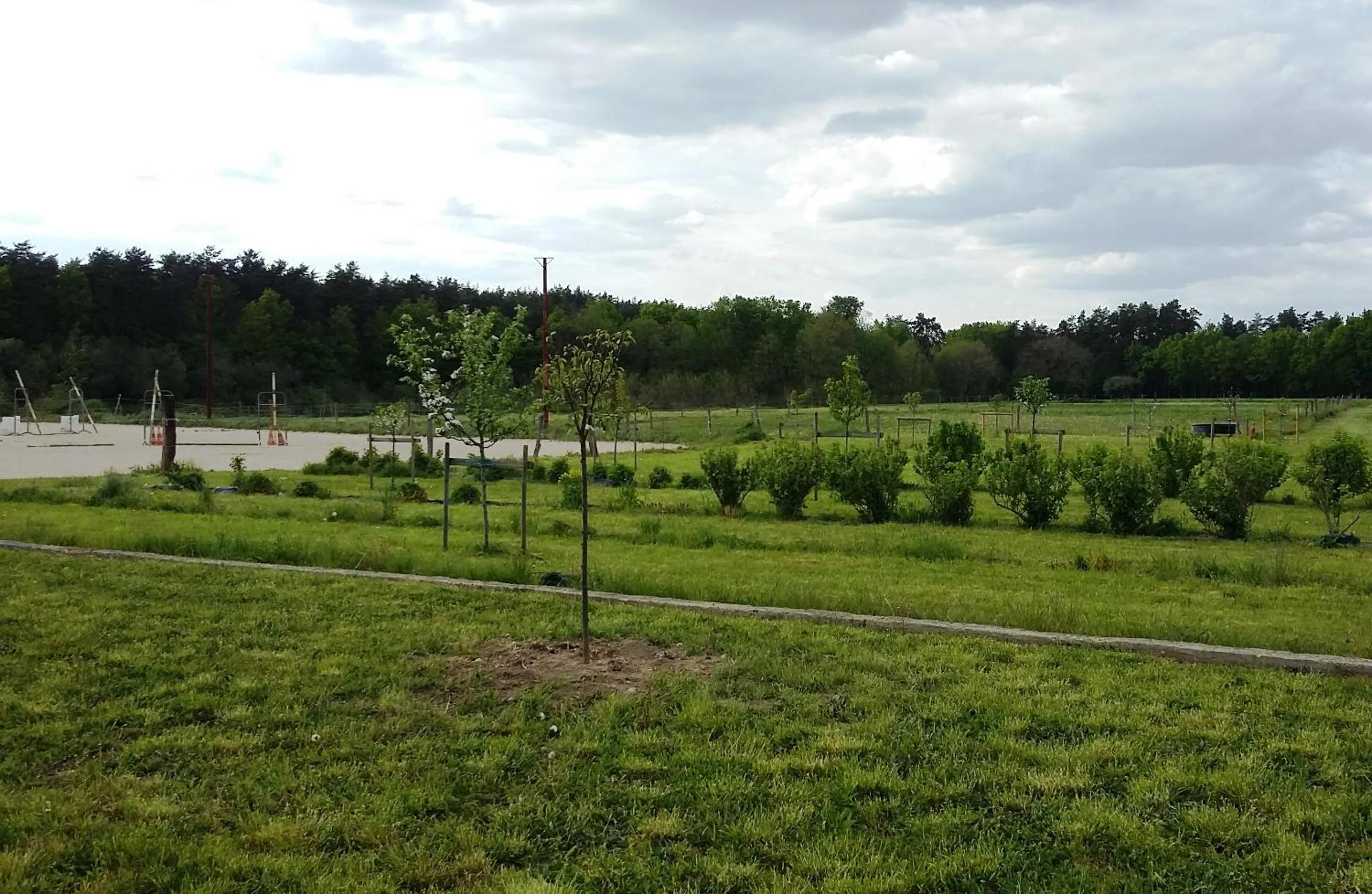 Horse-riding in Maison d'hôtes La Tuilerie