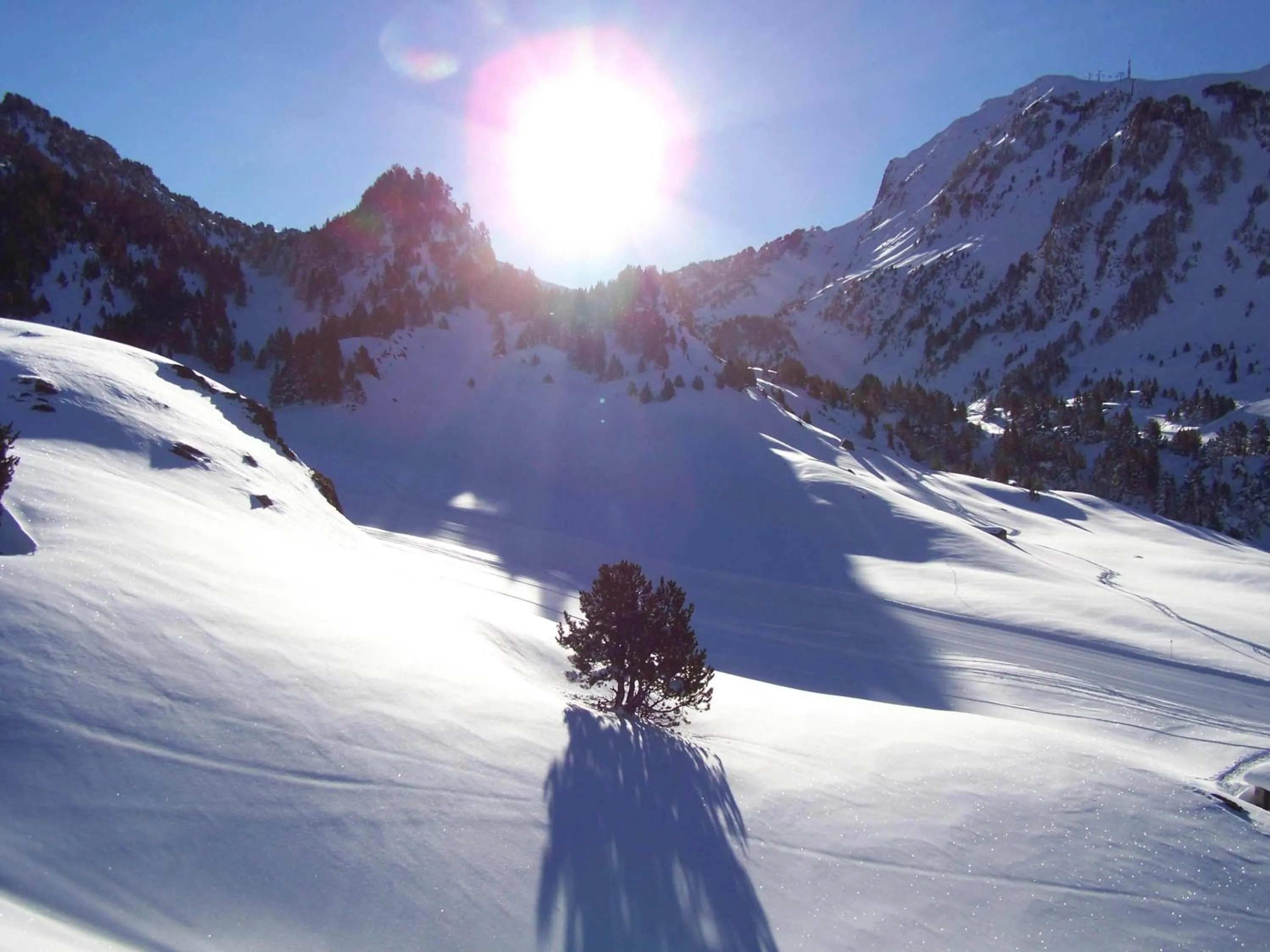 Area and facilities in Hotel SNÖ Mont Romies