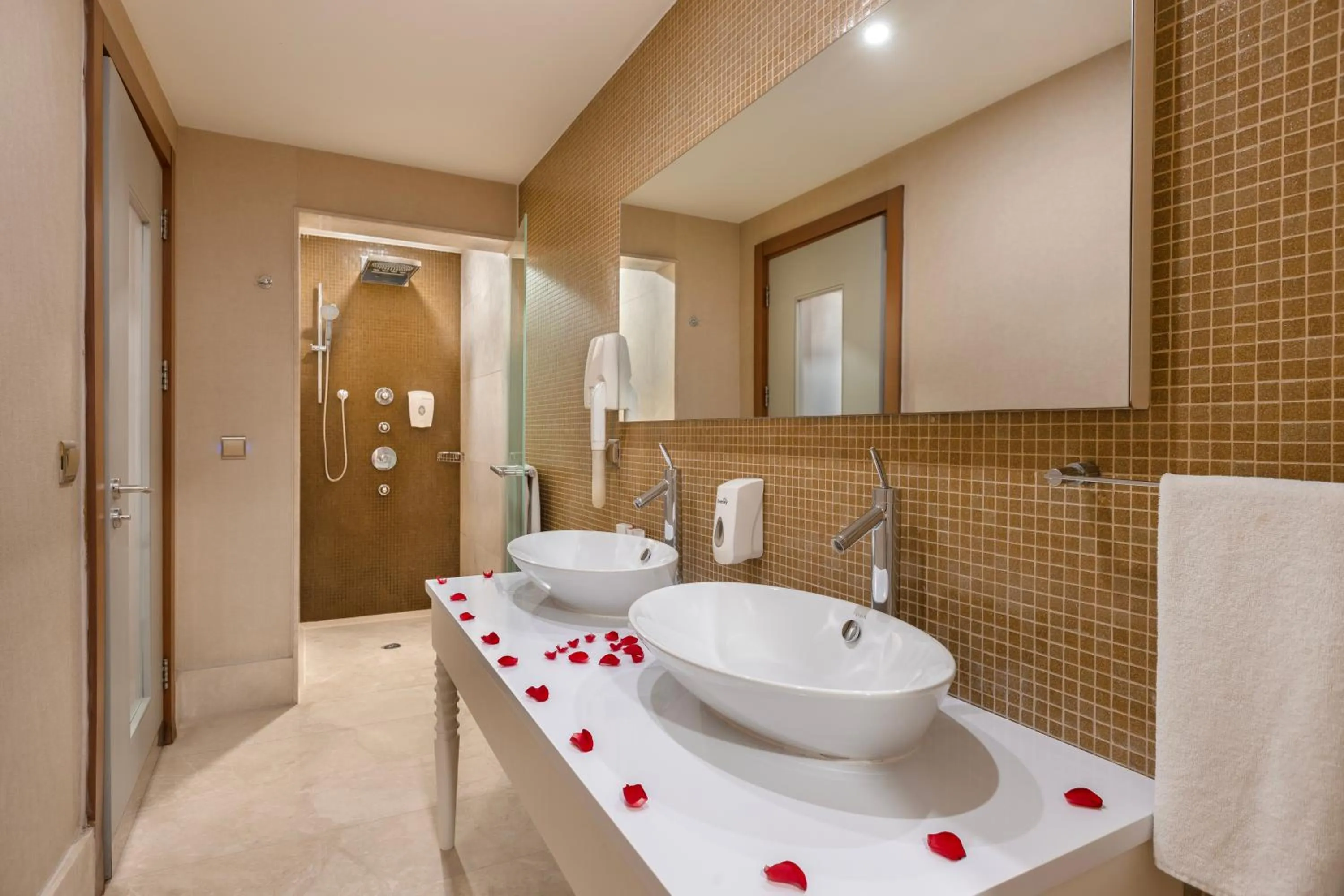 On site in Ramada Plaza Antalya