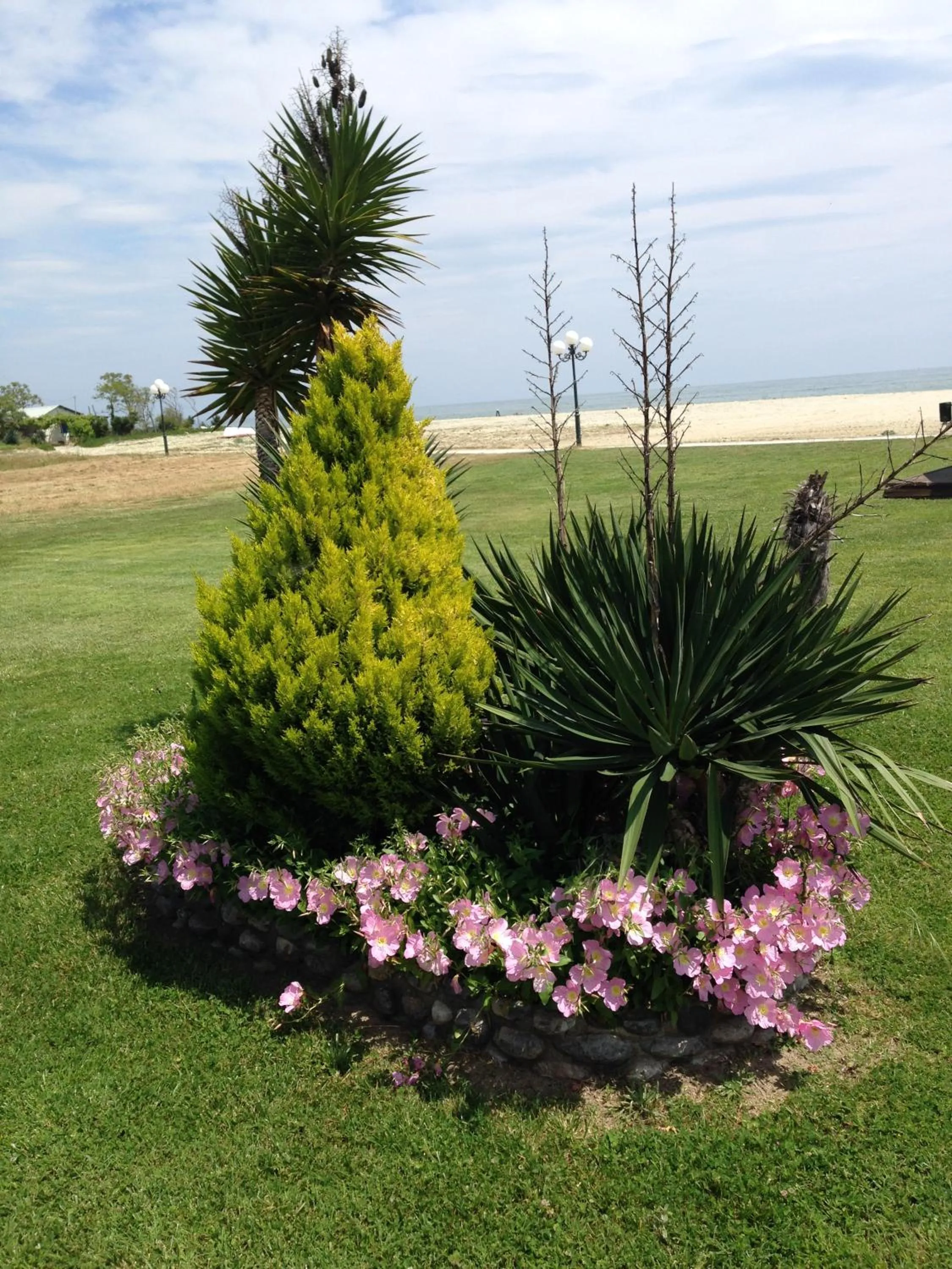 Garden in Hotel Akrogiali