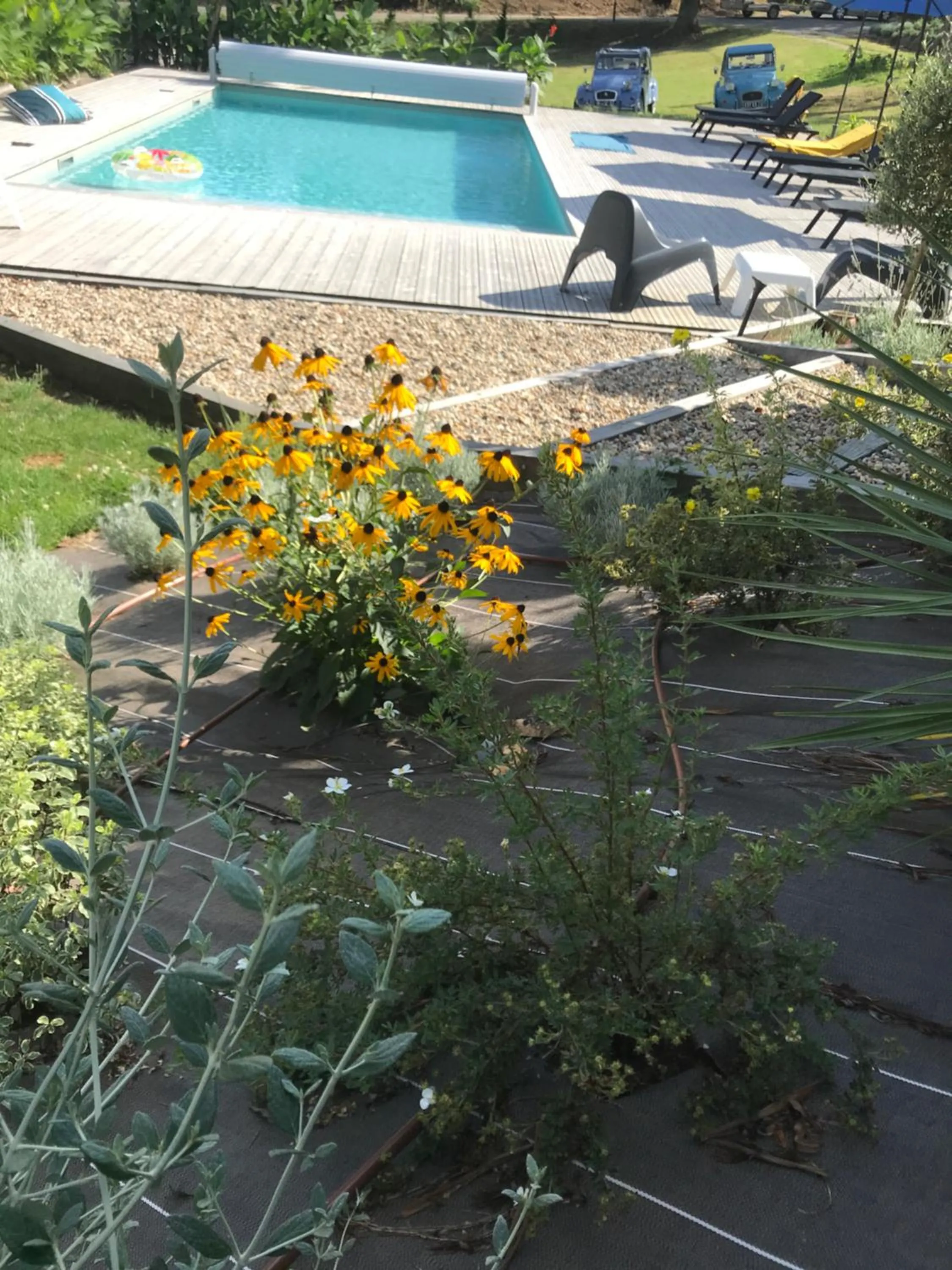 Swimming pool in La Maison d'Élise