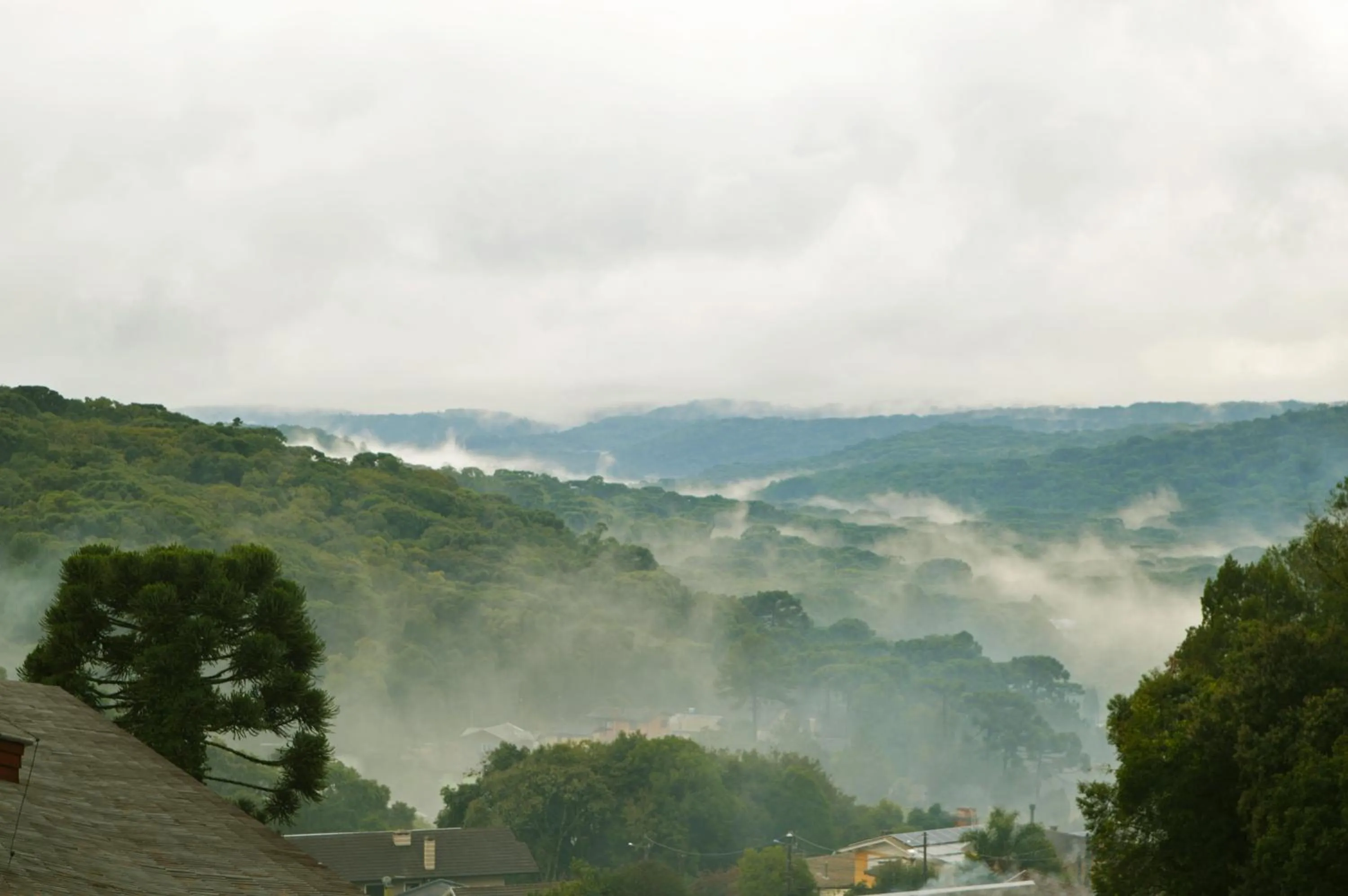 Natural landscape in Sky Borges Hotel Alpenhaus - Gramado