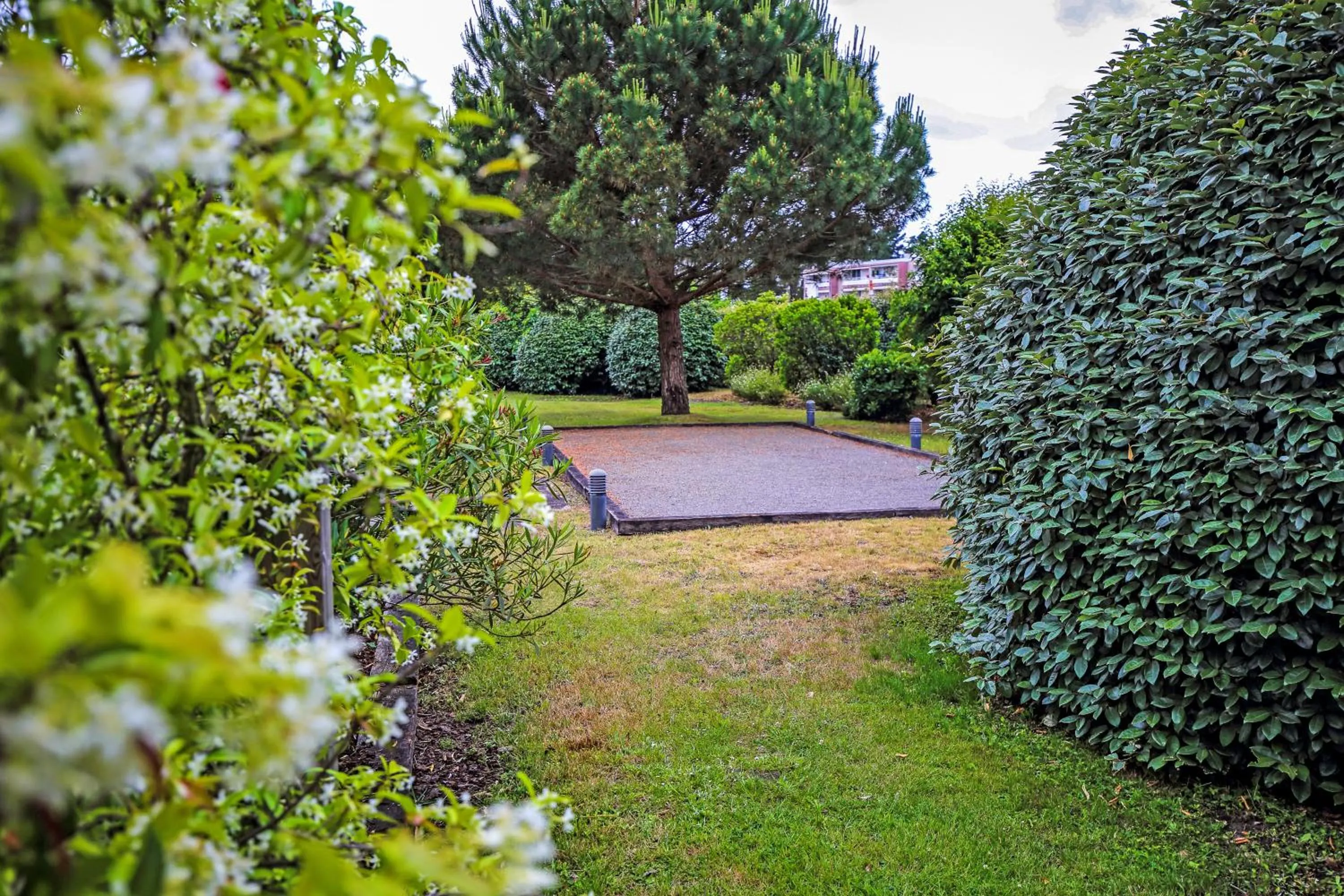 Garden in greet La Teste Bassin d'Arcachon