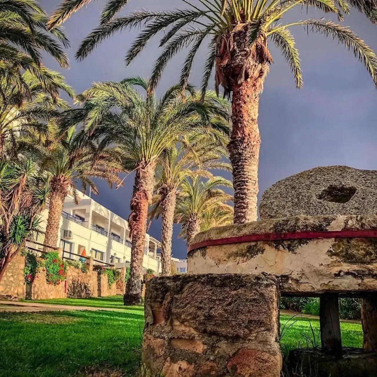 Garden in Vrachia Beach Hotel & Suites - Adults Only Garden in Vrachia Beach Hotel & Suites - Adults Only