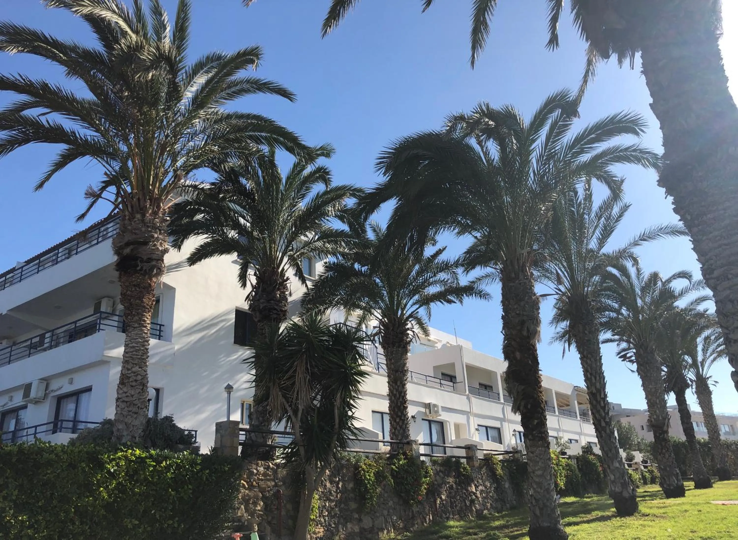 Garden in Vrachia Beach Hotel & Suites - Adults Only