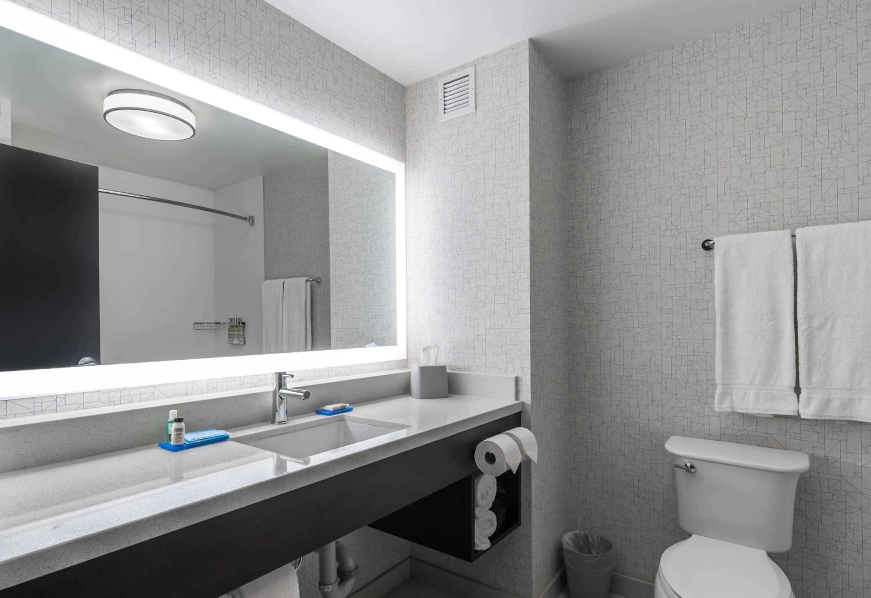 Bathroom in Holiday Inn Express Hotel & Suites Saskatoon by IHG