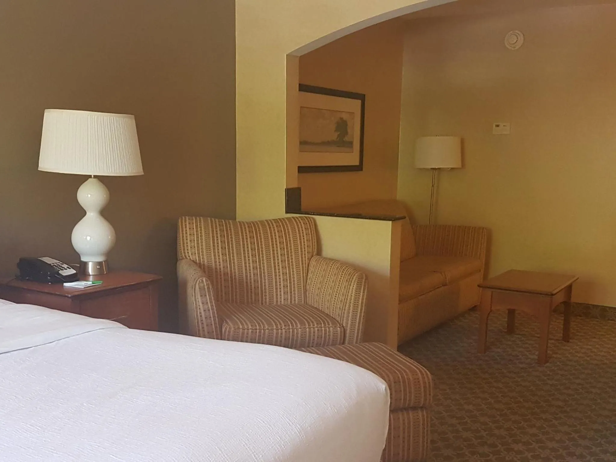 Photo of the whole room, Bed in Holiday Inn Carbondale - Conference Center by IHG