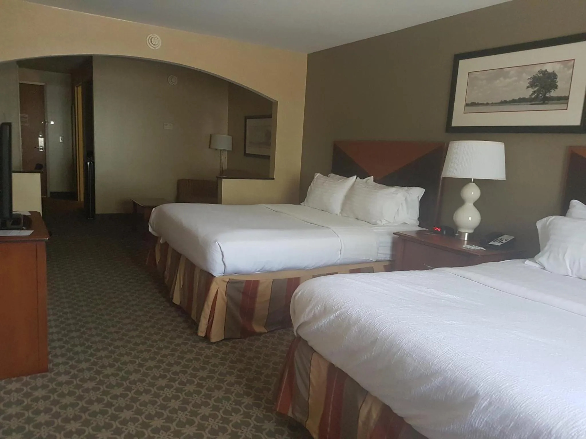 Photo of the whole room, Bed in Holiday Inn Carbondale - Conference Center by IHG