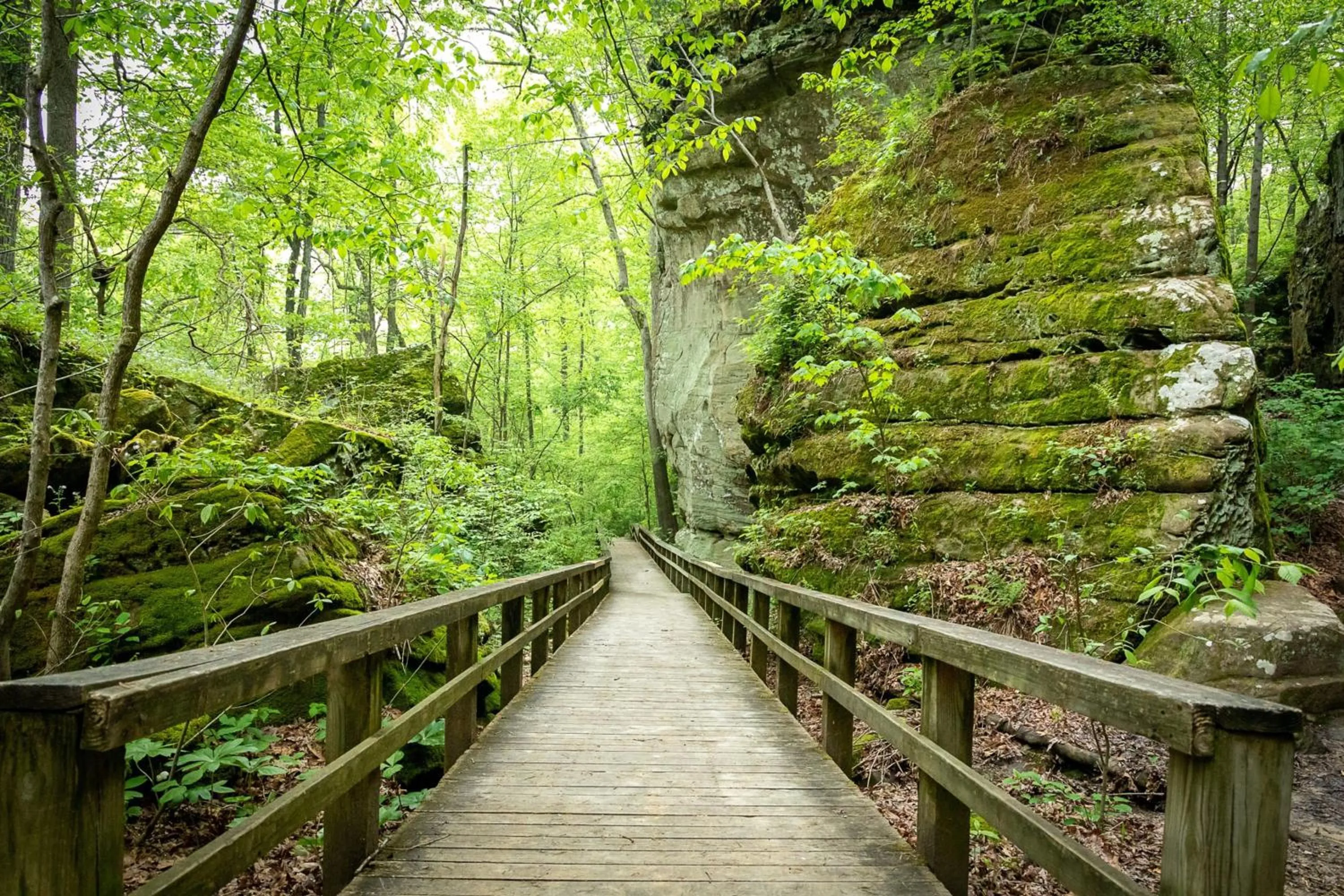 Area and facilities in Holiday Inn Carbondale - Conference Center by IHG
